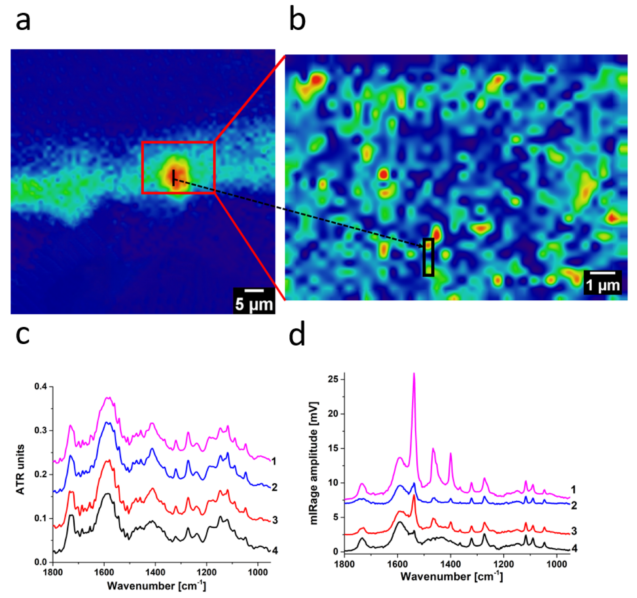 Molecules 27 06301 g004 550