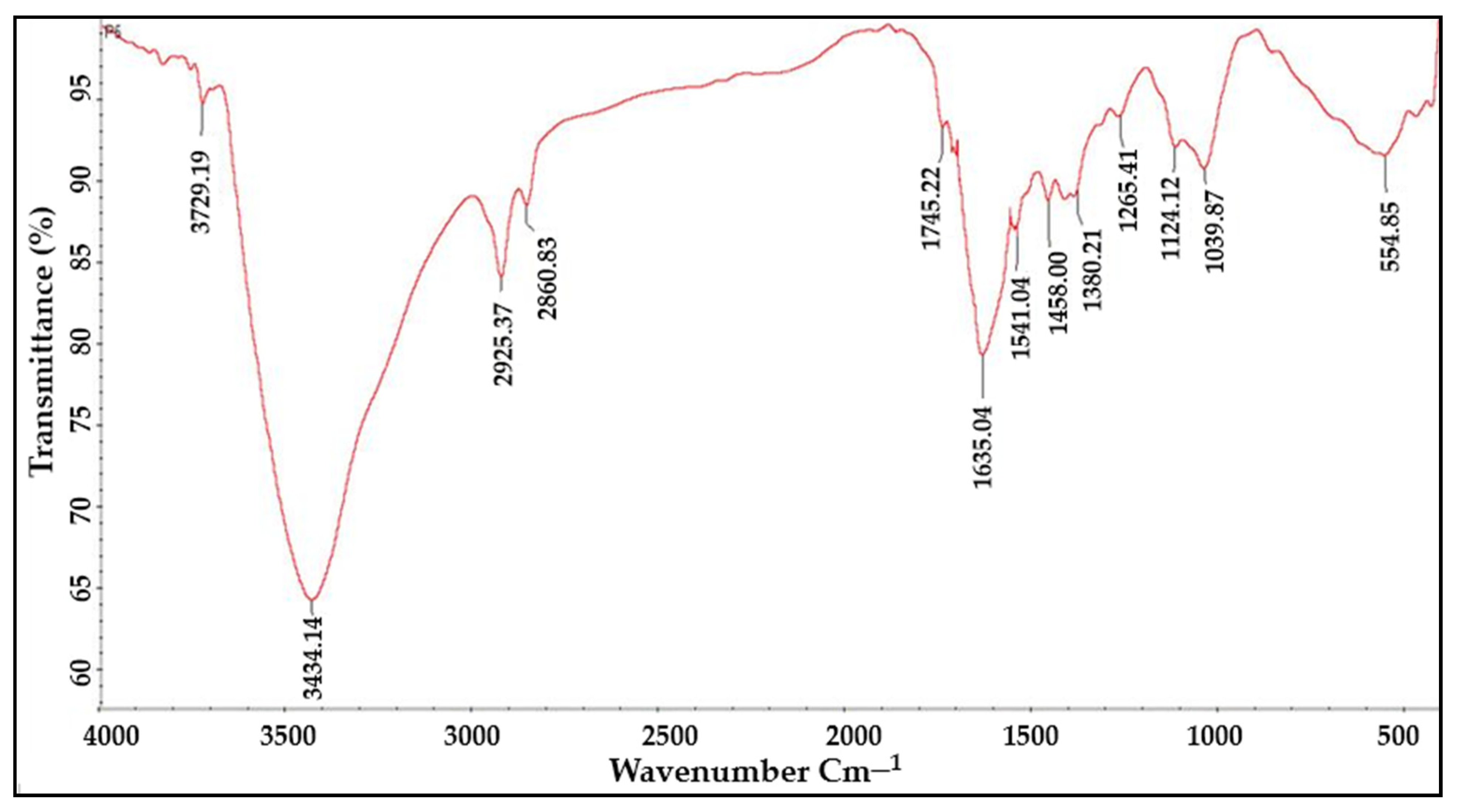 Molecules 27 06306 g006