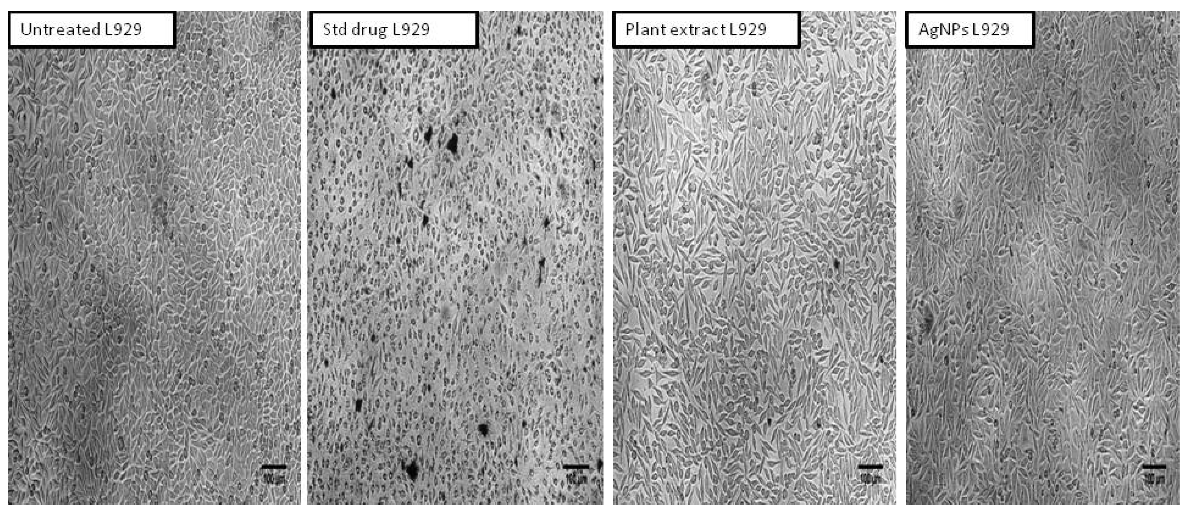 Molecules 27 06306 g010