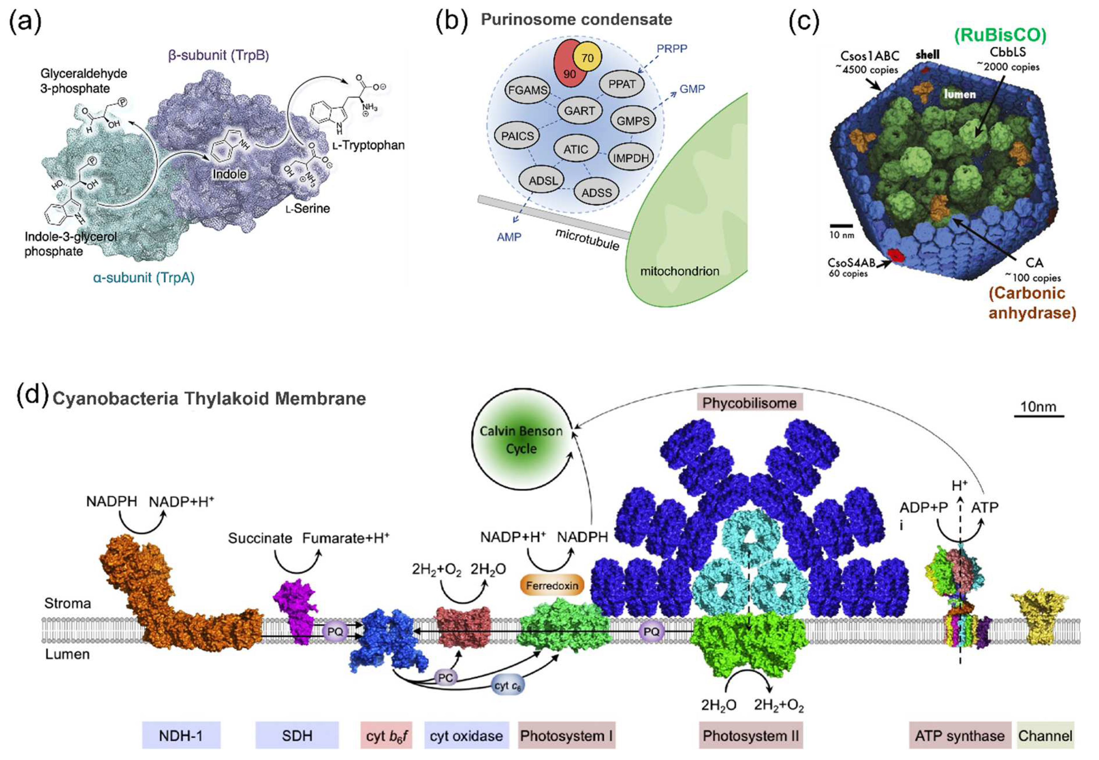 Molecules 27 06309 g001 Molecules 27 06309 g001