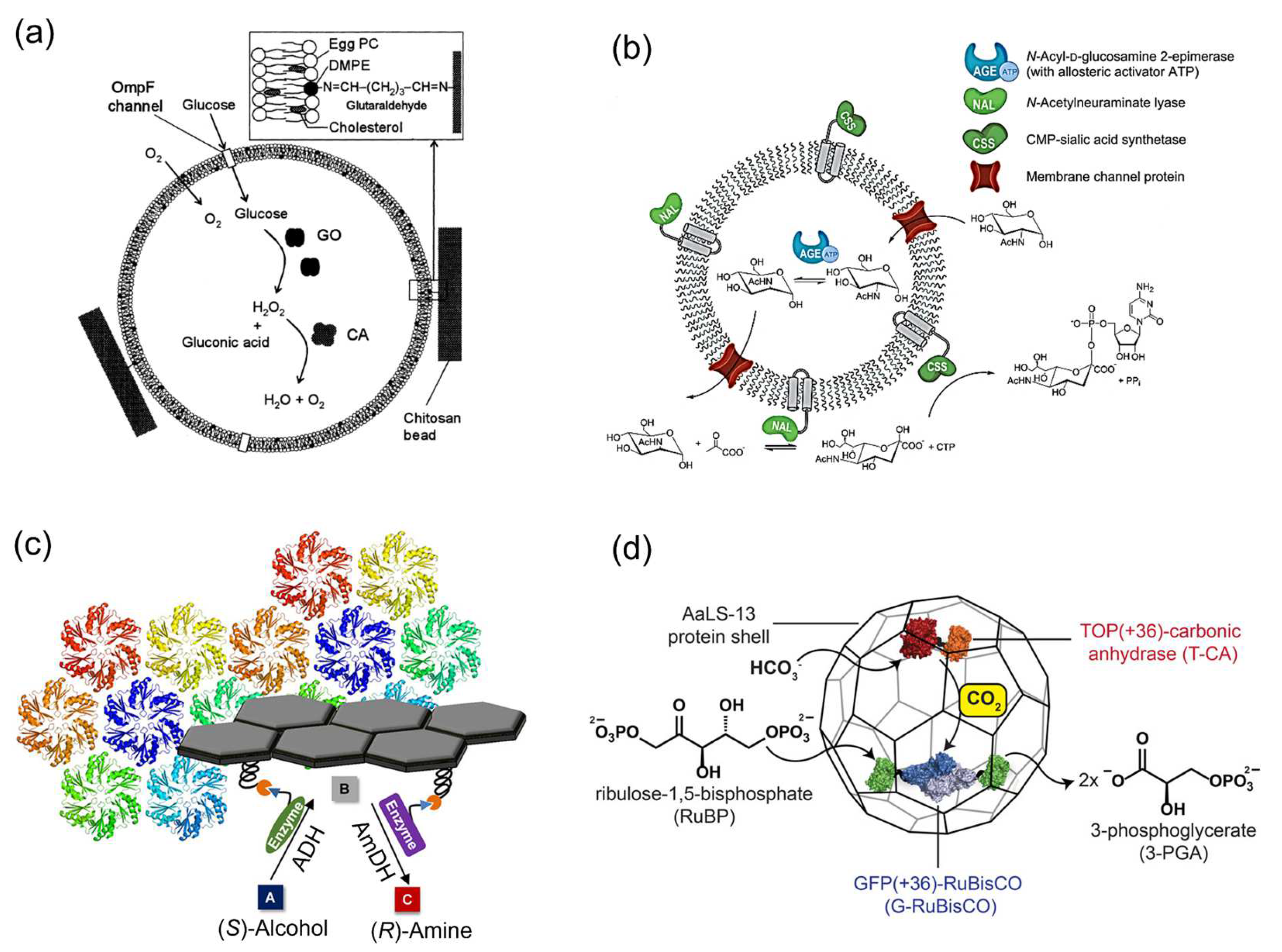 Molecules 27 06309 g002 Molecules 27 06309 g002