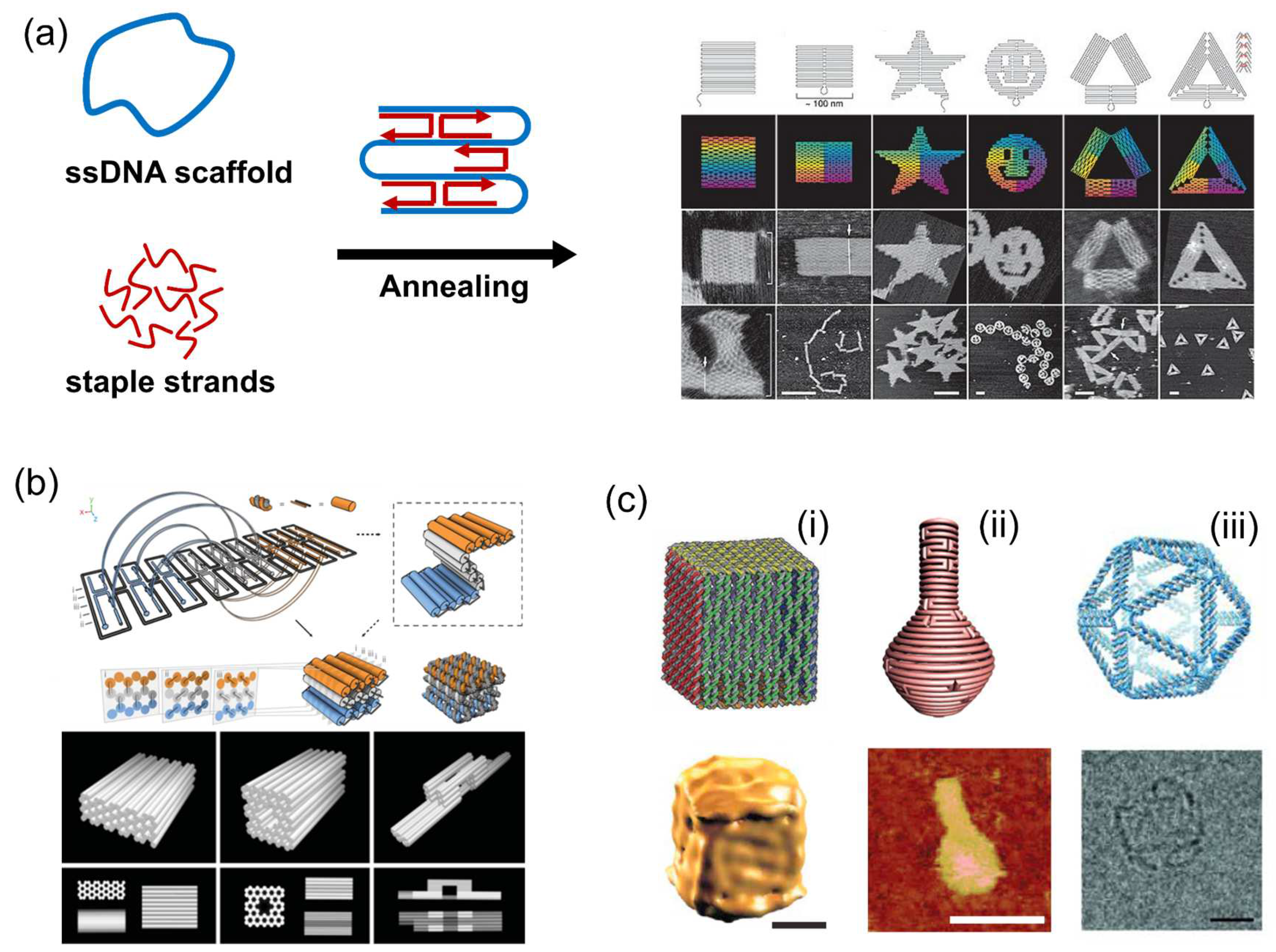 Molecules 27 06309 g003 Molecules 27 06309 g003