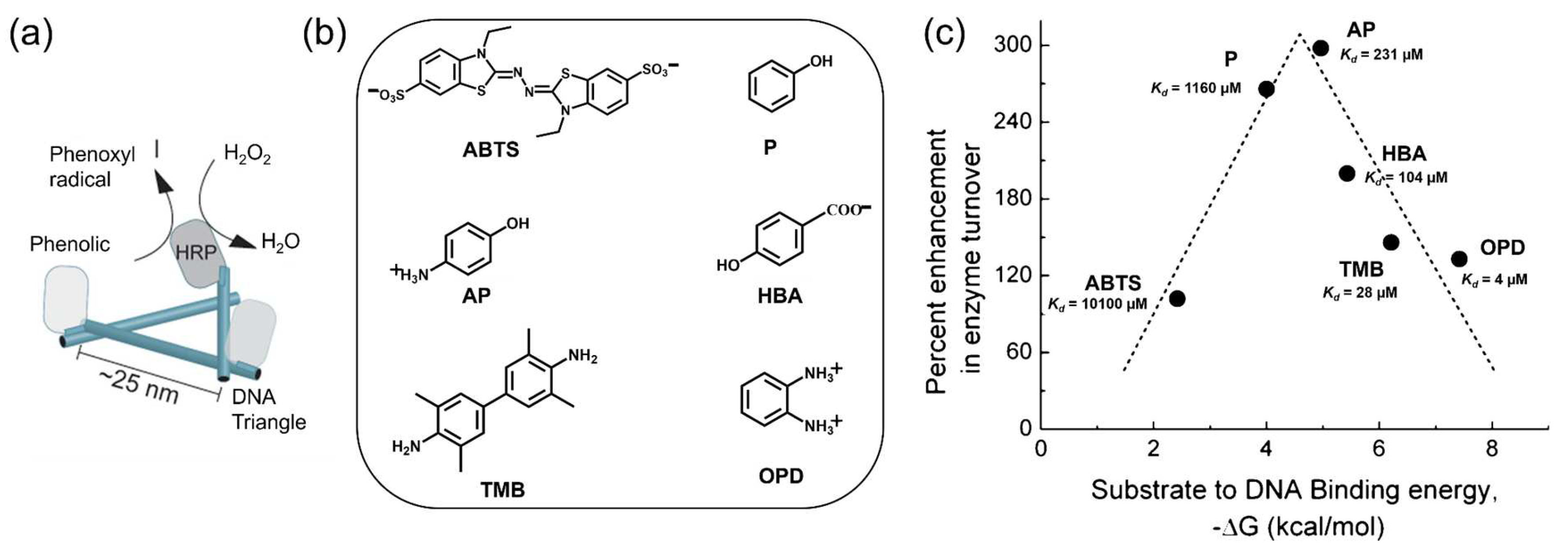 Molecules 27 06309 g005 Molecules 27 06309 g005
