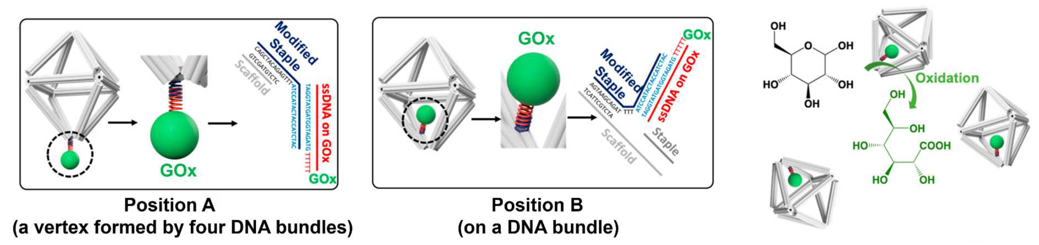 Molecules 27 06309 g006 Molecules 27 06309 g006