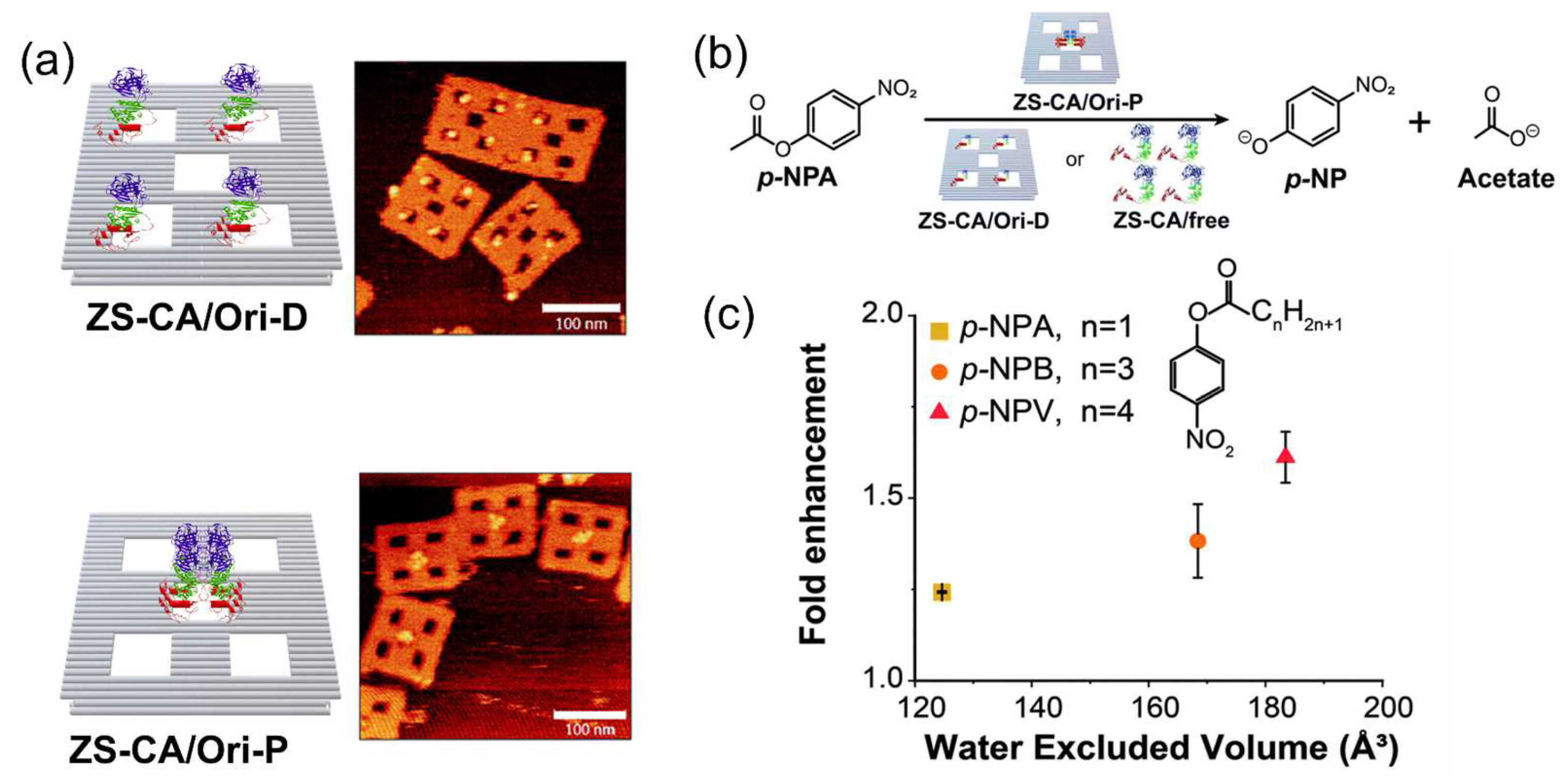 Molecules 27 06309 g008 Molecules 27 06309 g008