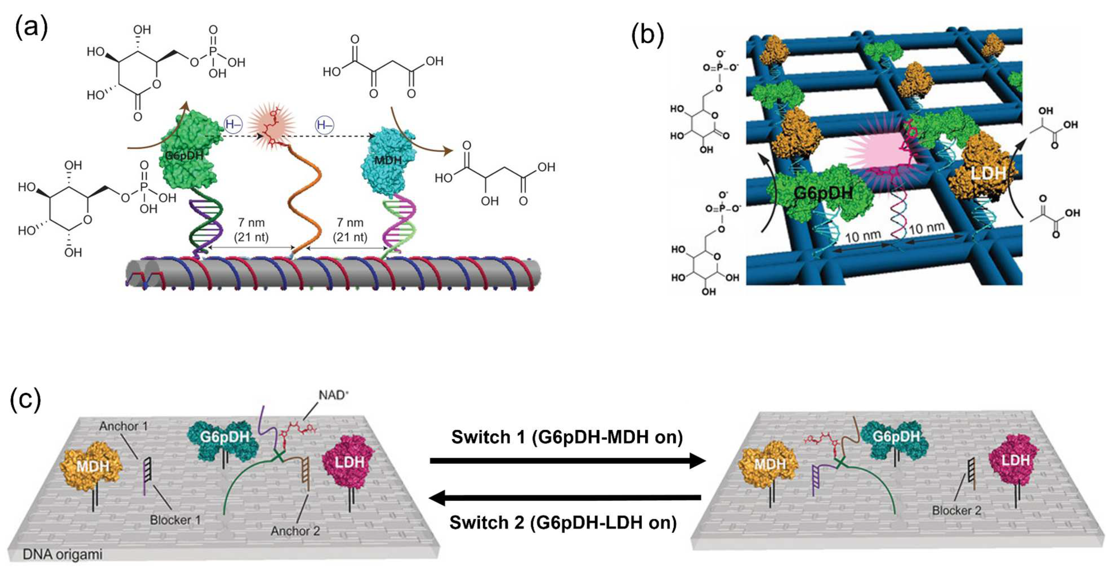 Molecules 27 06309 g010 Molecules 27 06309 g010