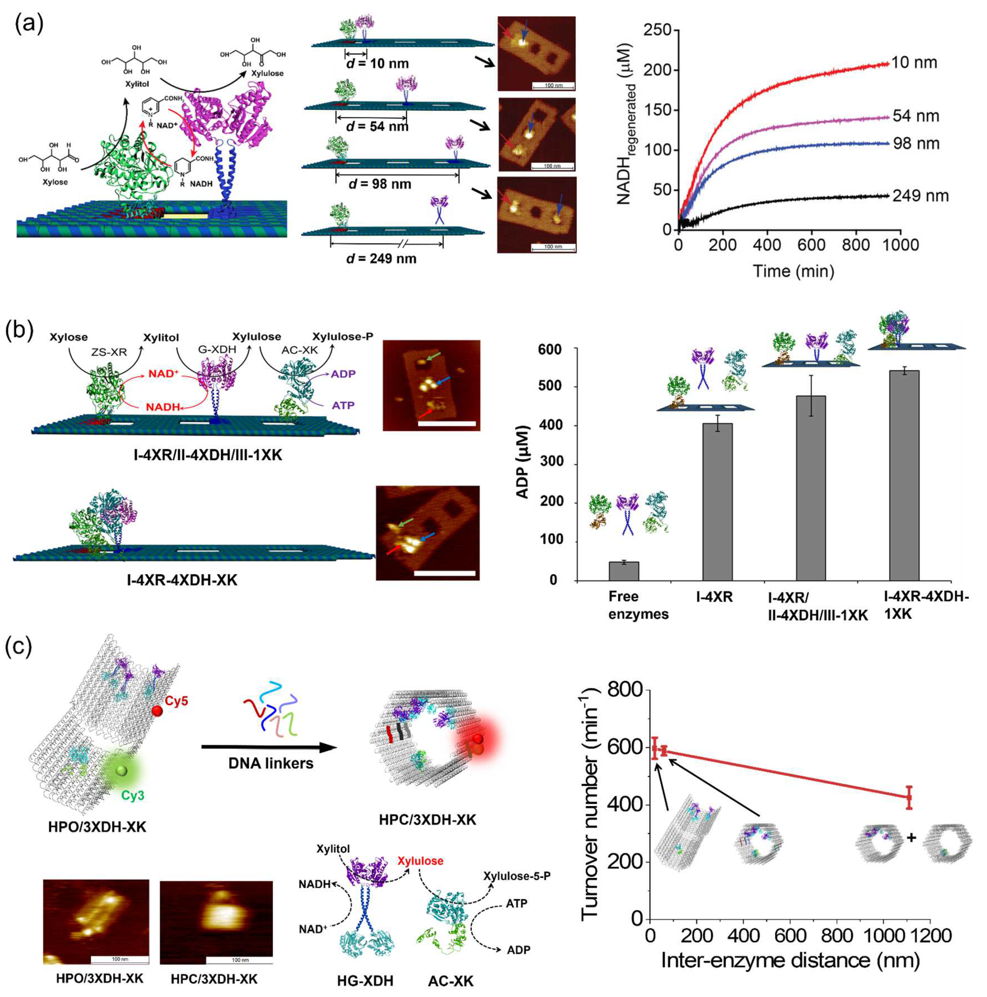 Molecules 27 06309 g012 Molecules 27 06309 g012