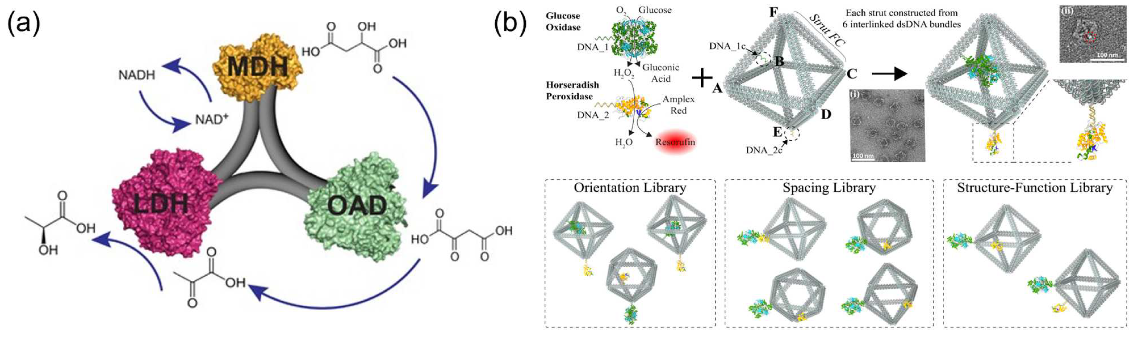 Molecules 27 06309 g013 Molecules 27 06309 g013