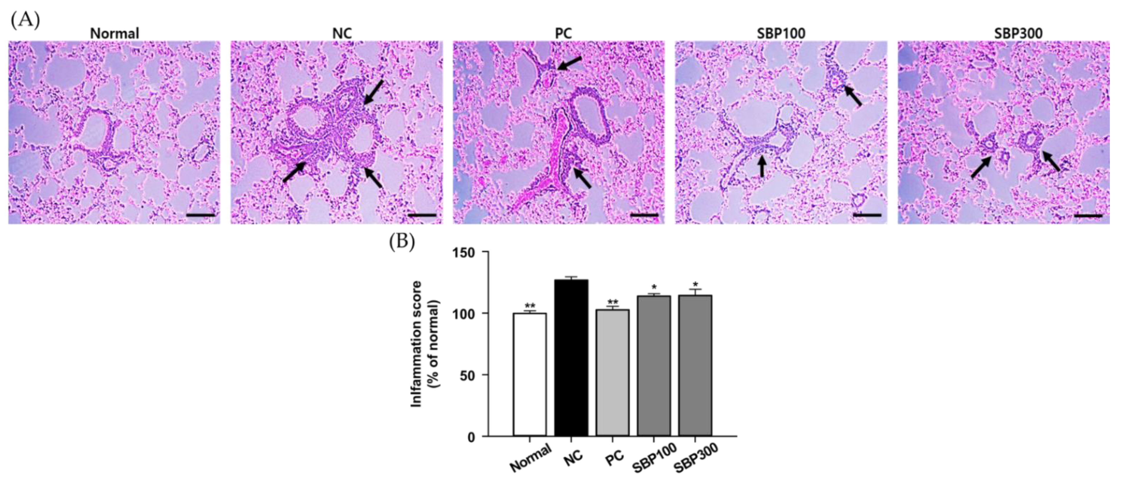 Molecules 27 06317 g002 Molecules 27 06317 g002