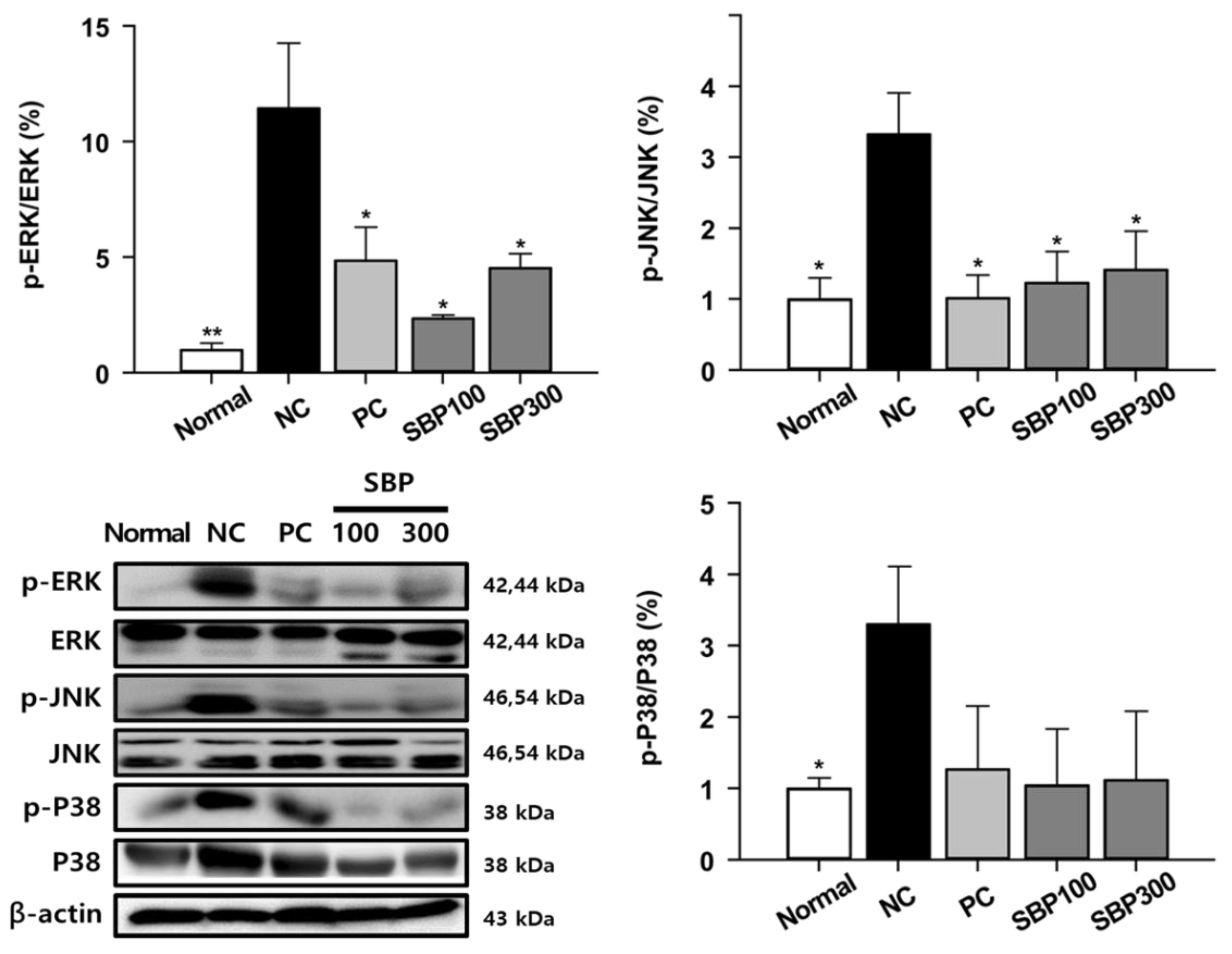 Molecules 27 06317 g004 Molecules 27 06317 g004