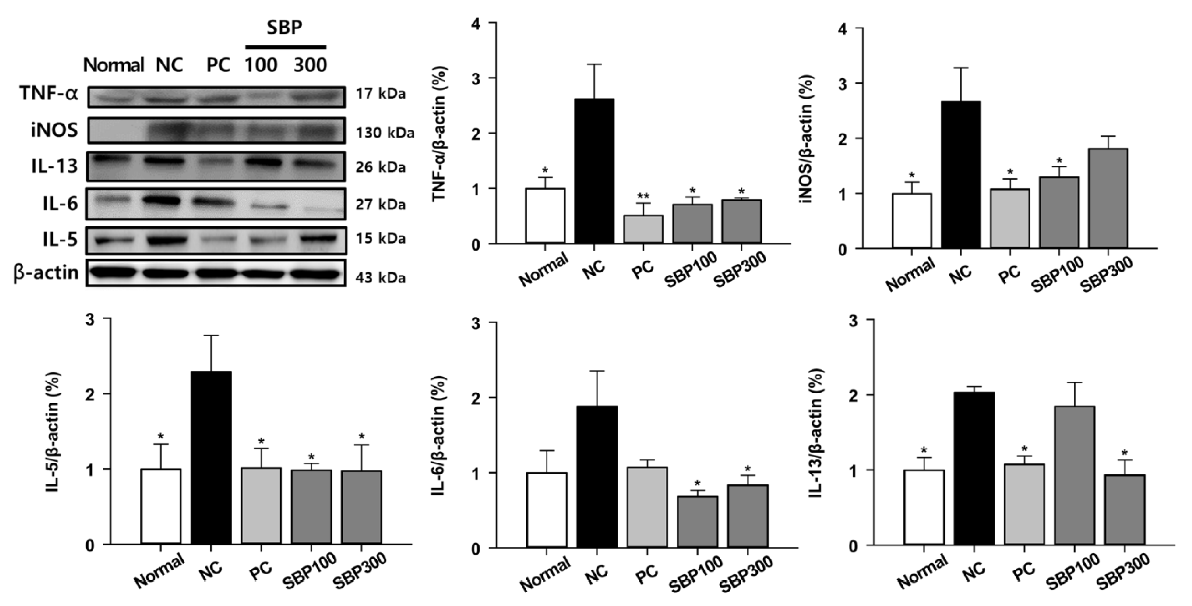 Molecules 27 06317 g005 Molecules 27 06317 g005