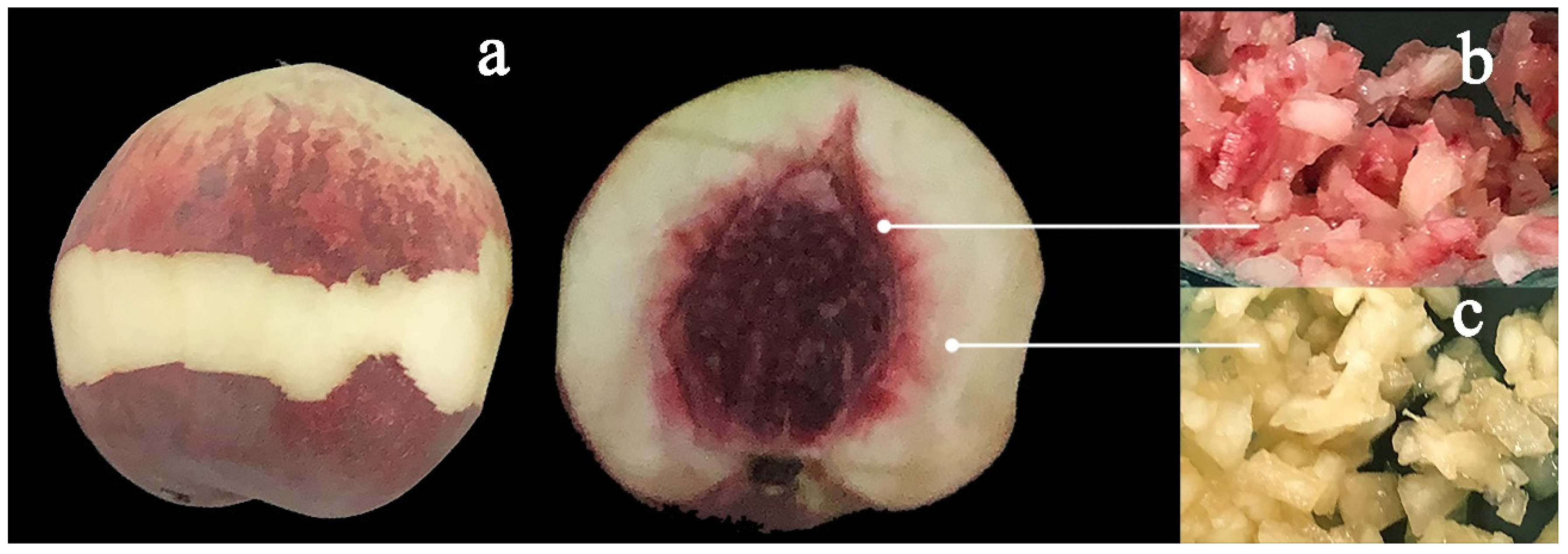 Molecules 27 06319 g001 550