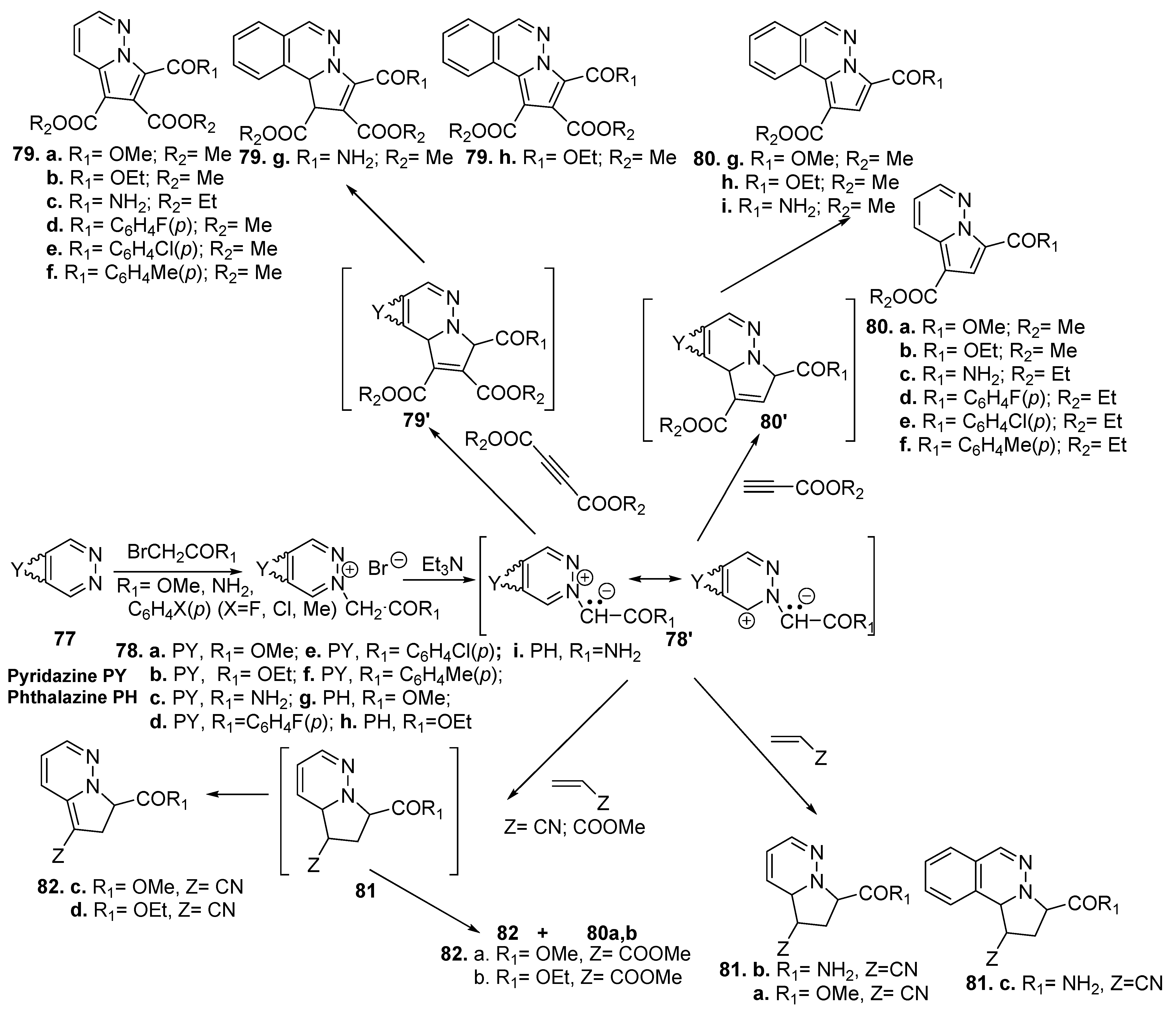 Molecules 27 06321 sch023