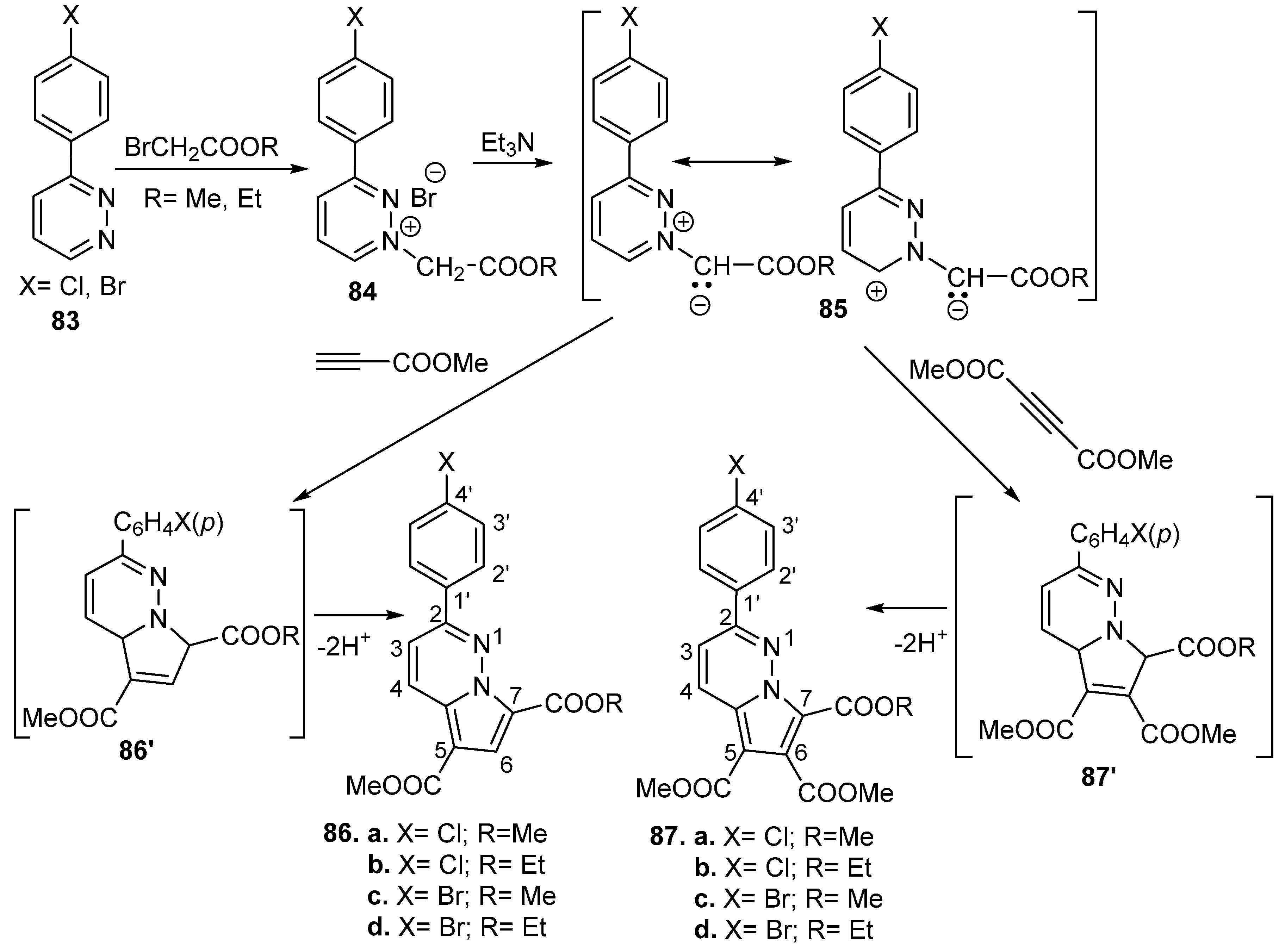 Molecules 27 06321 sch025
