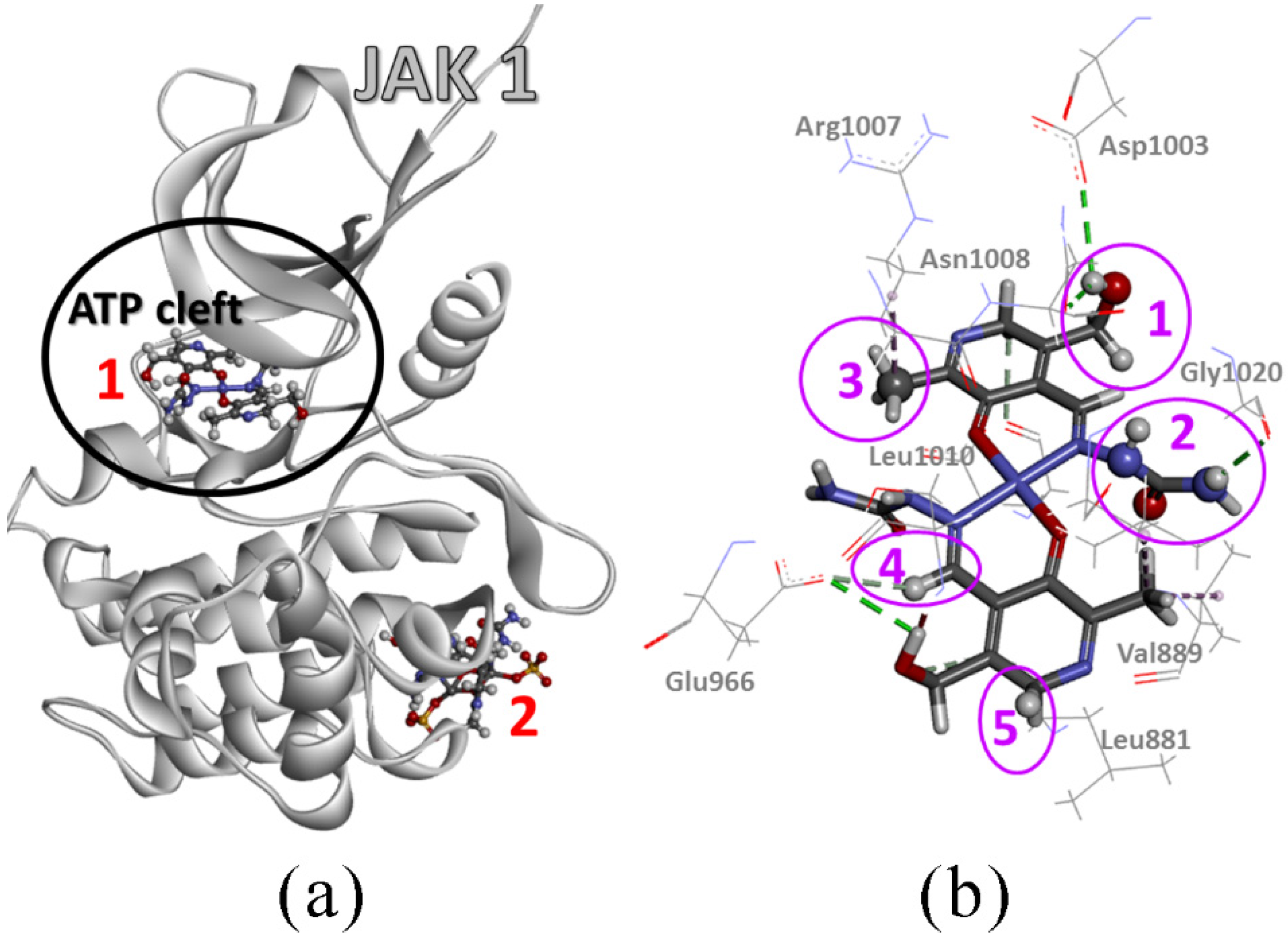 Molecules 27 06322 g010