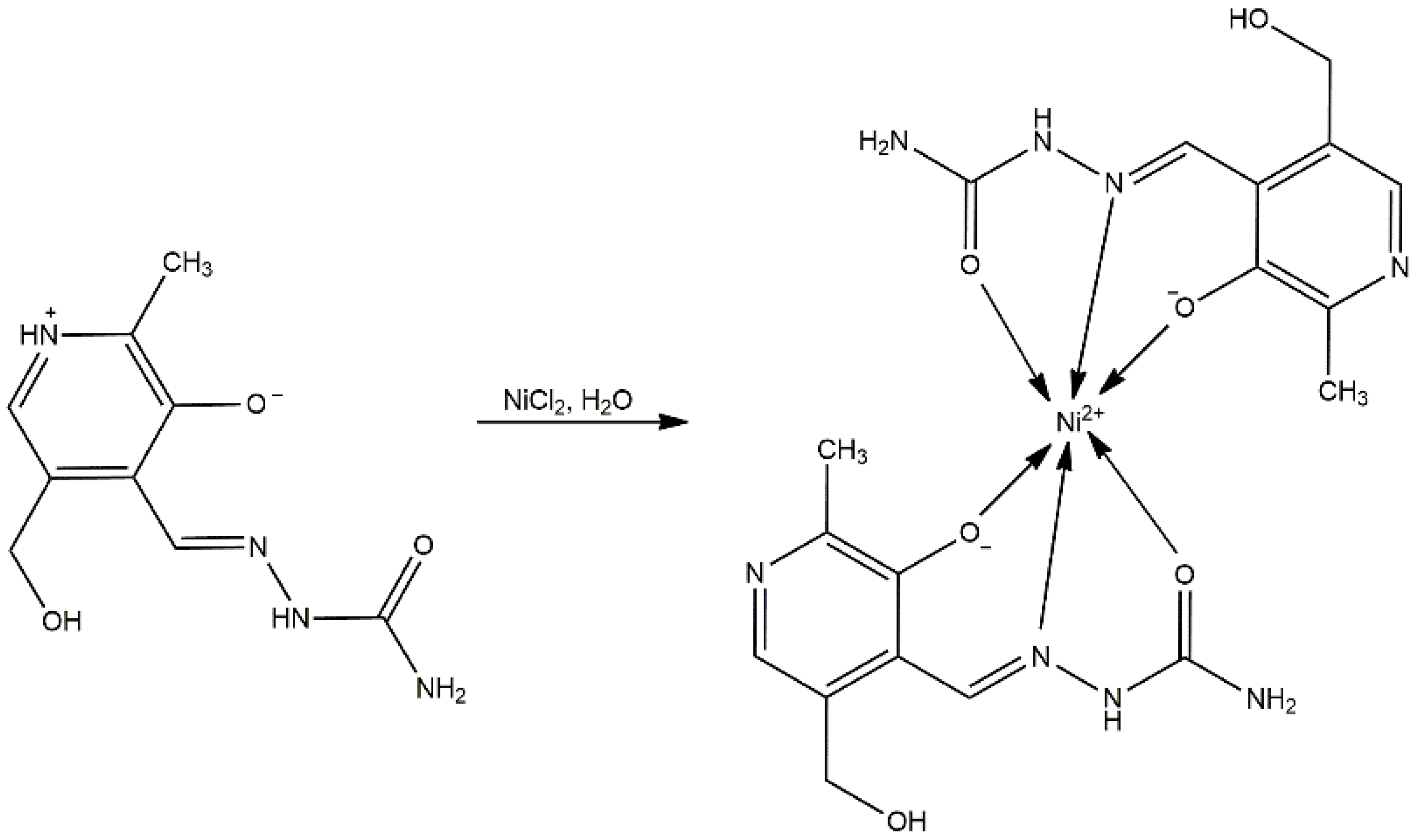 Molecules 27 06322 sch002