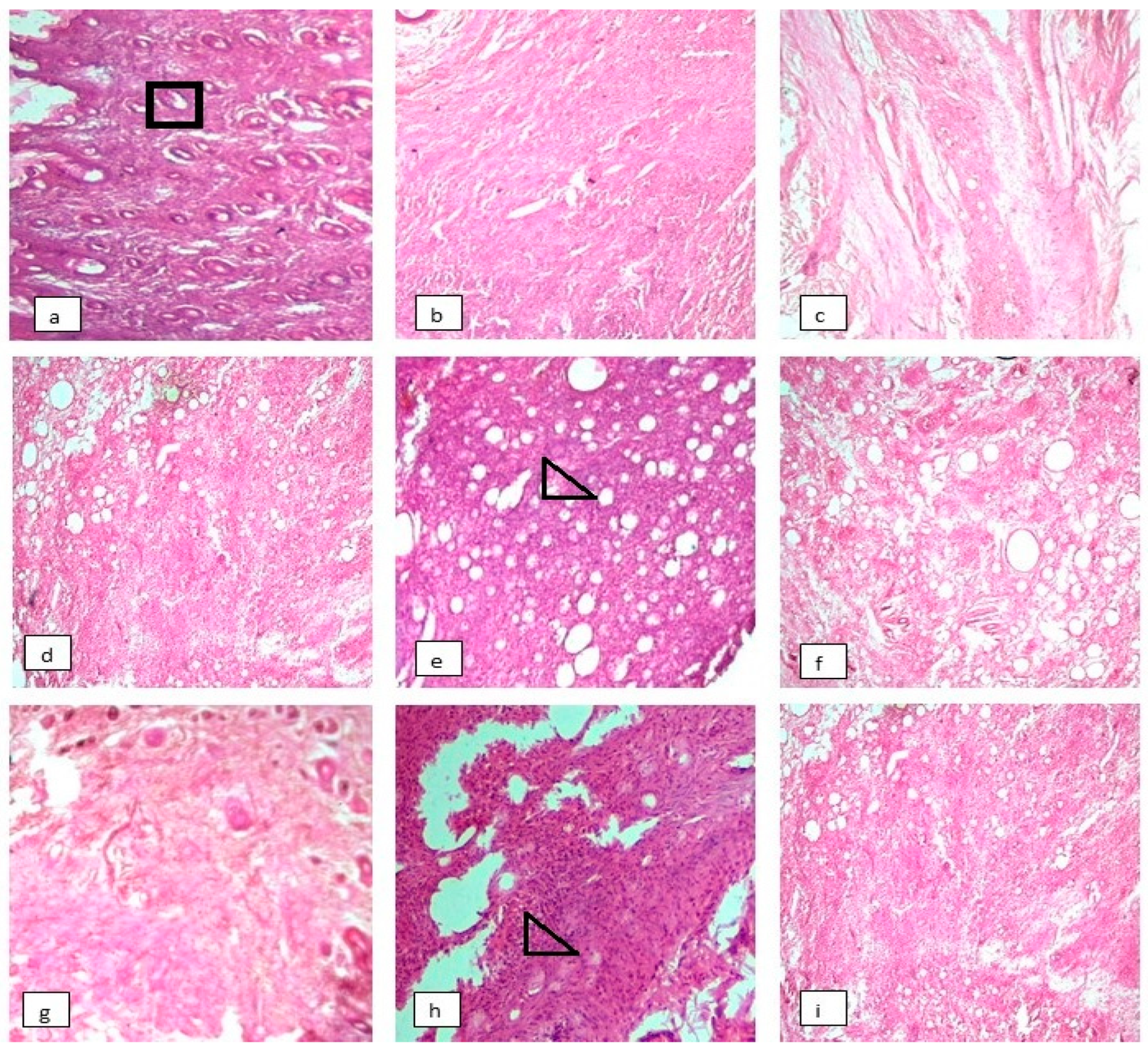 Molecules 27 06323 g007 Molecules 27 06323 g007