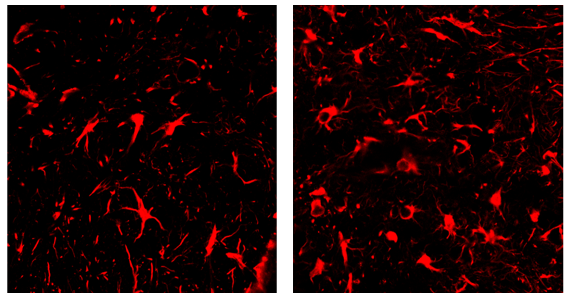 Molecules 27 06333 g002