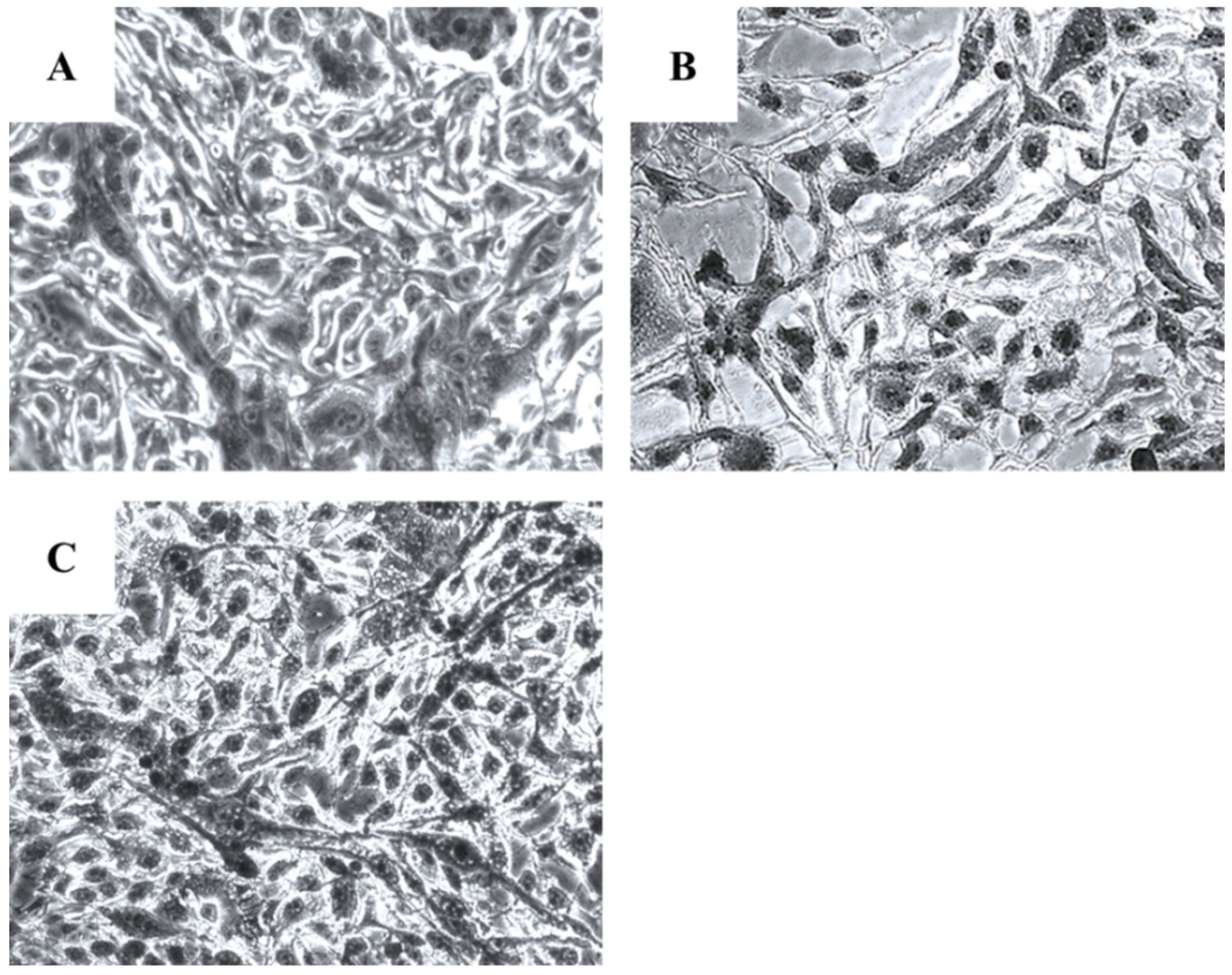 Molecules 27 06348 g003 Molecules 27 06348 g003