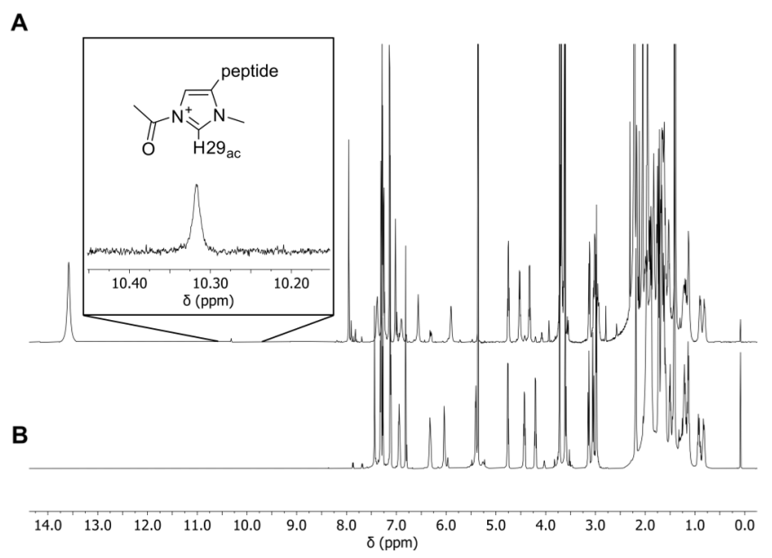 Molecules 27 06351 g005 Molecules 27 06351 g005