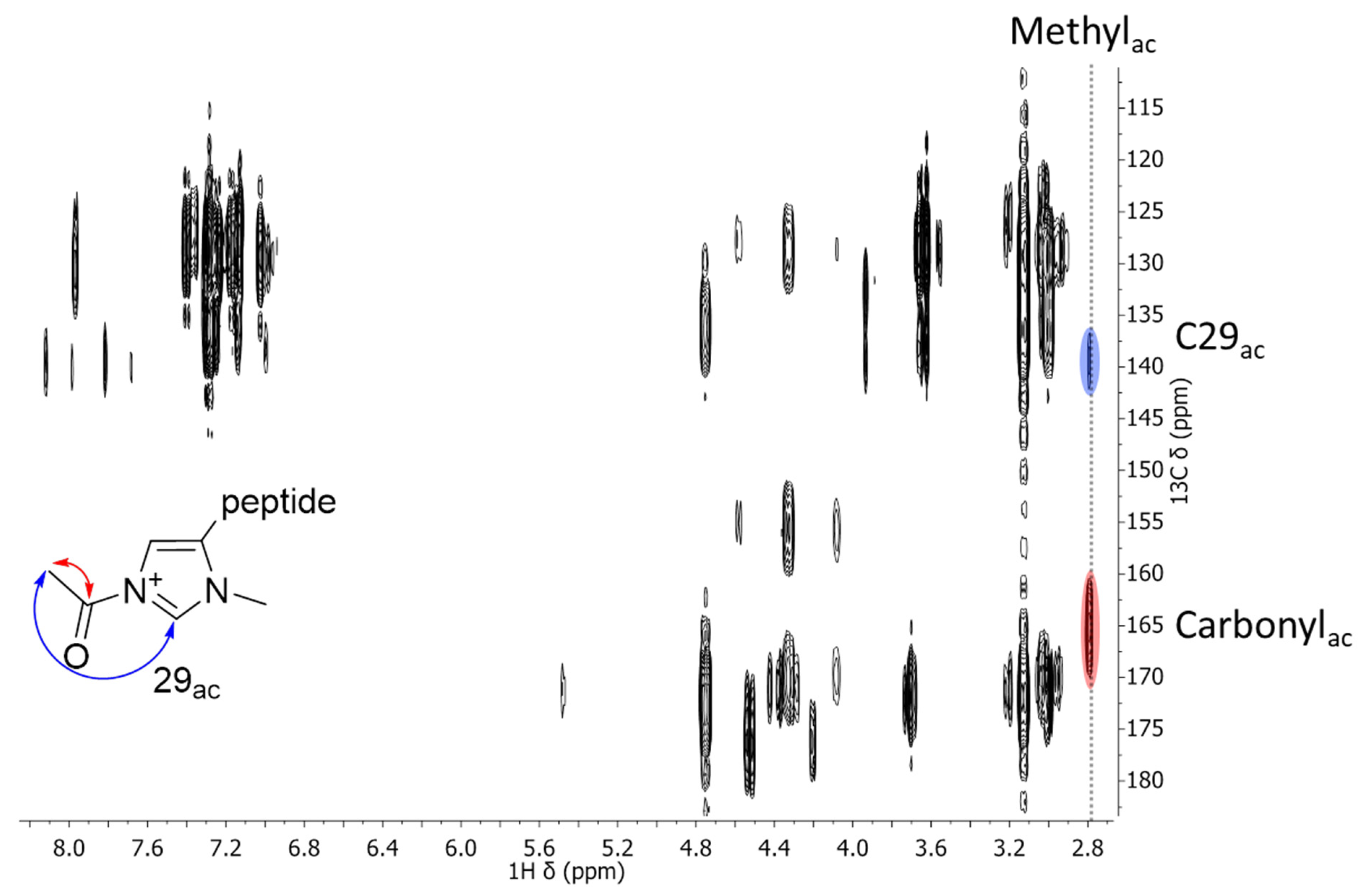 Molecules 27 06351 g006 Molecules 27 06351 g006
