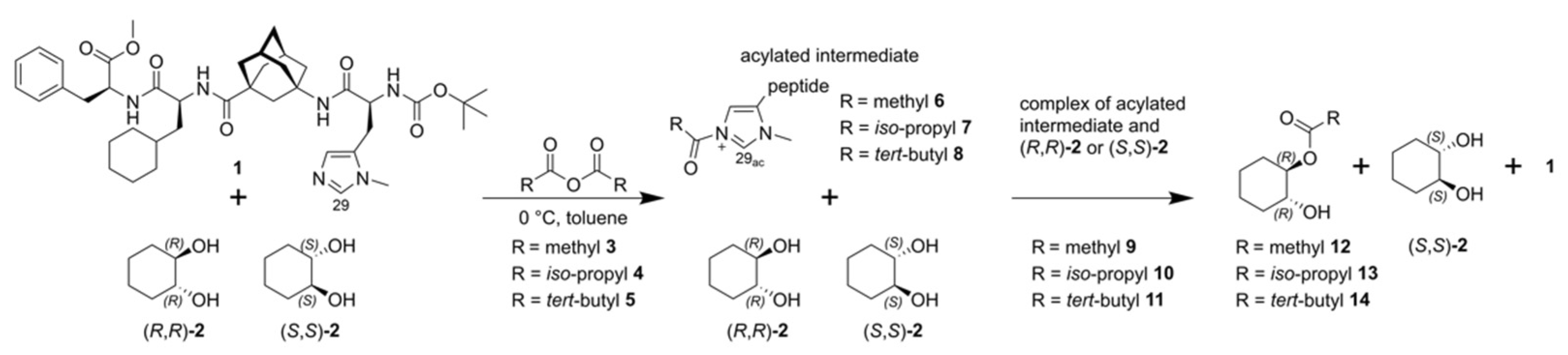 Molecules 27 06351 sch001 Molecules 27 06351 sch001