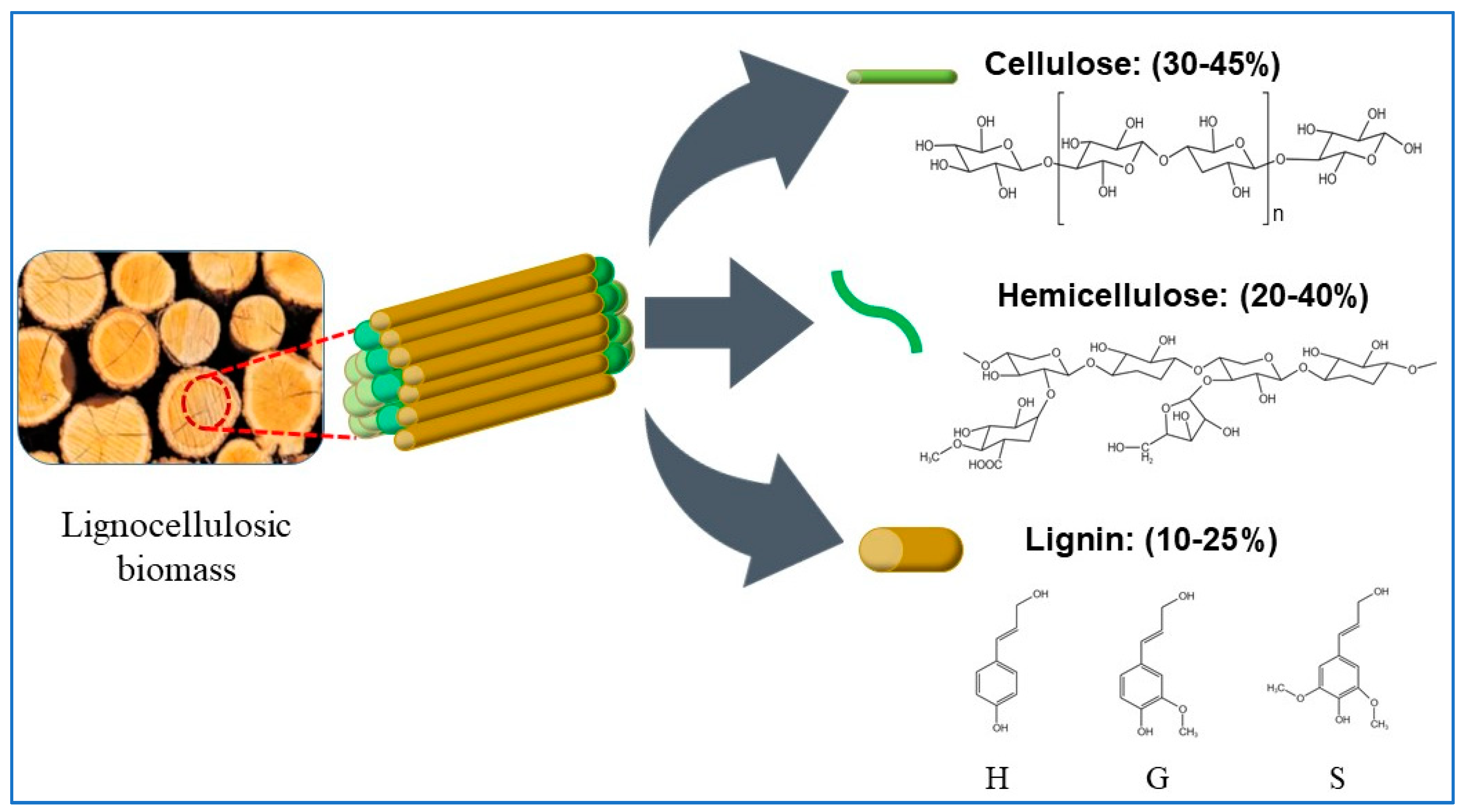 Lignocellulose