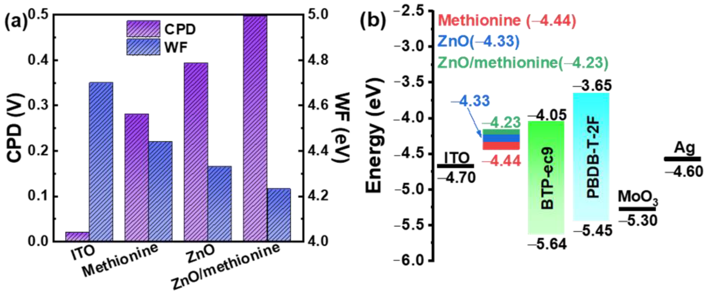 Molecules 27 06363 g006