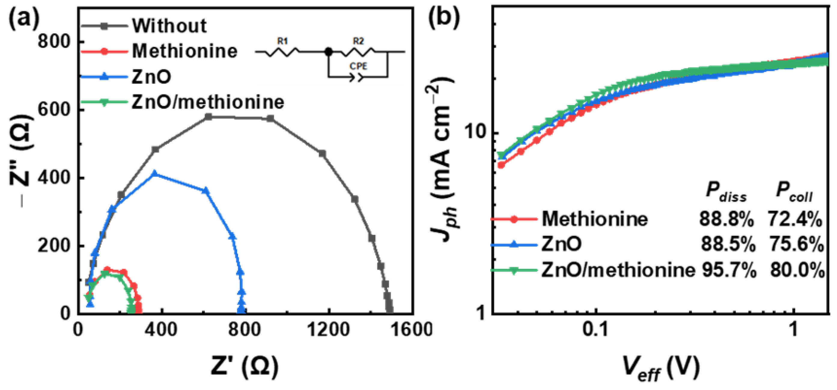 Molecules 27 06363 g007