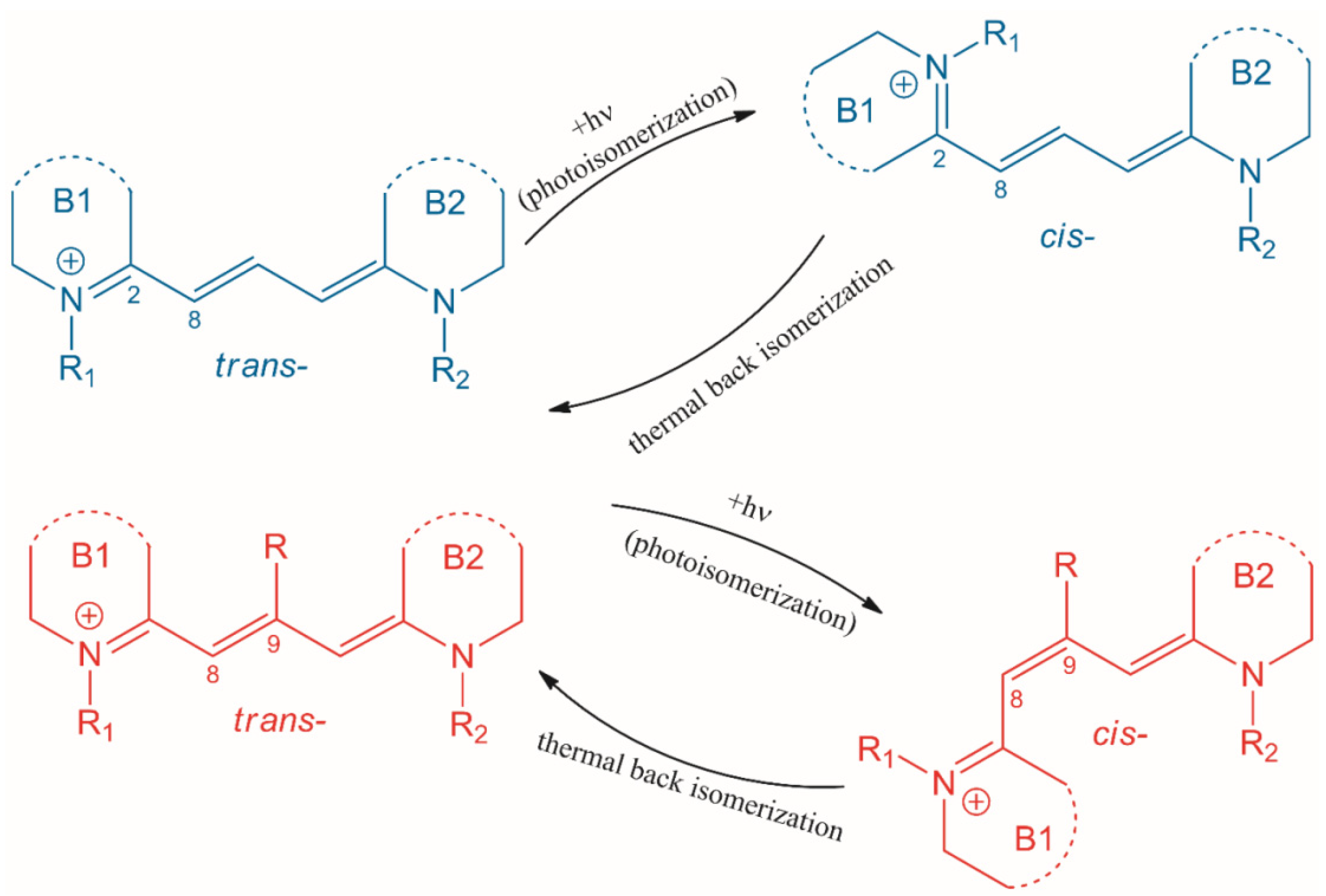 Molecules 27 06367 g002