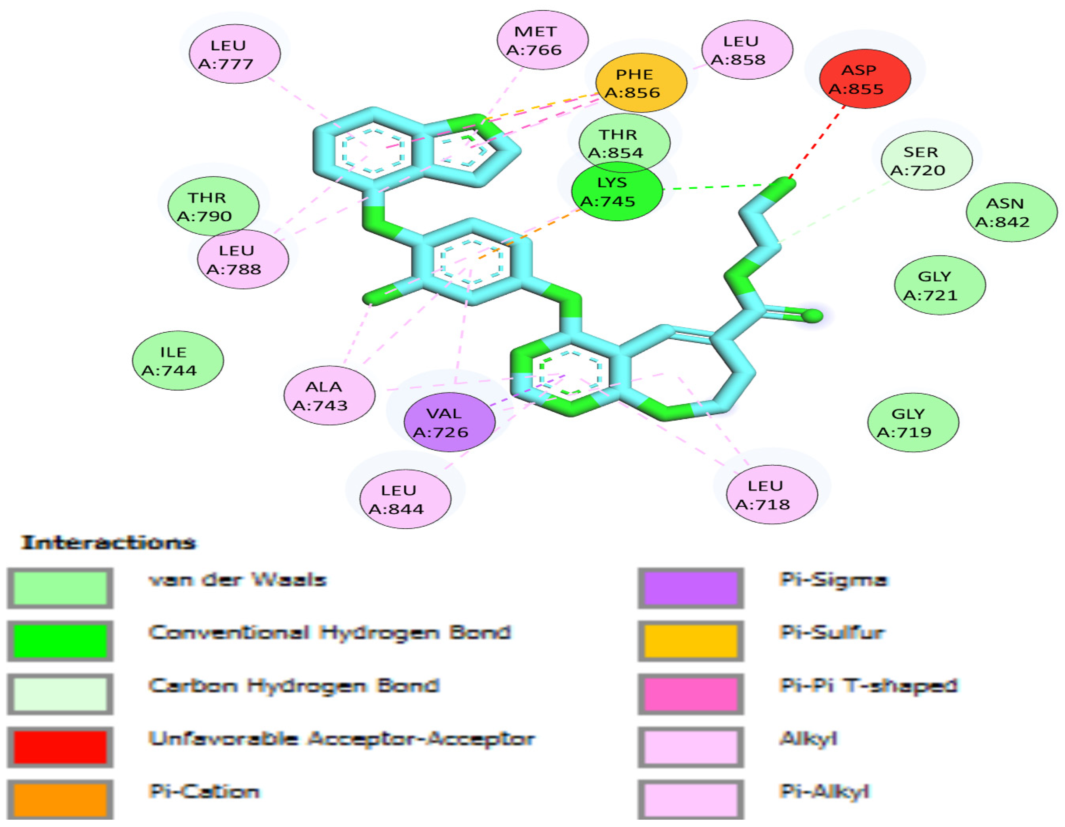 Molecules 27 06368 g005 Molecules 27 06368 g005
