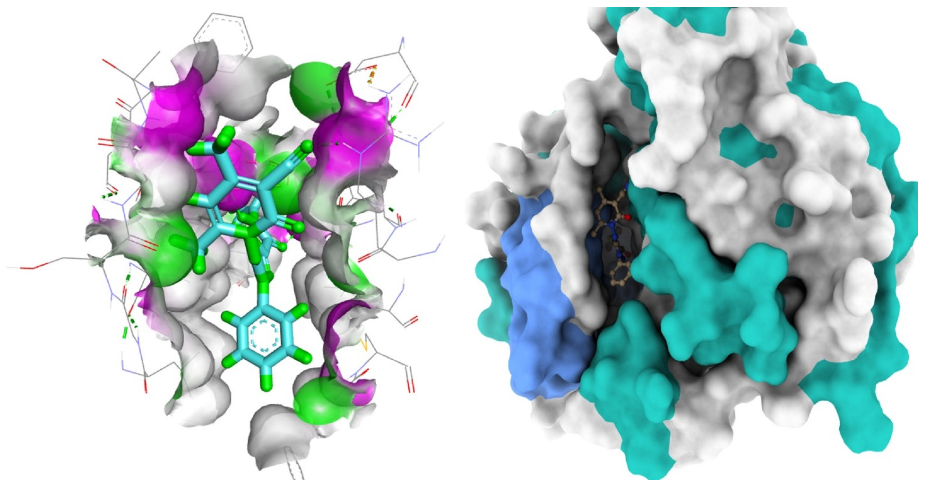 Molecules 27 06368 g010 Molecules 27 06368 g010