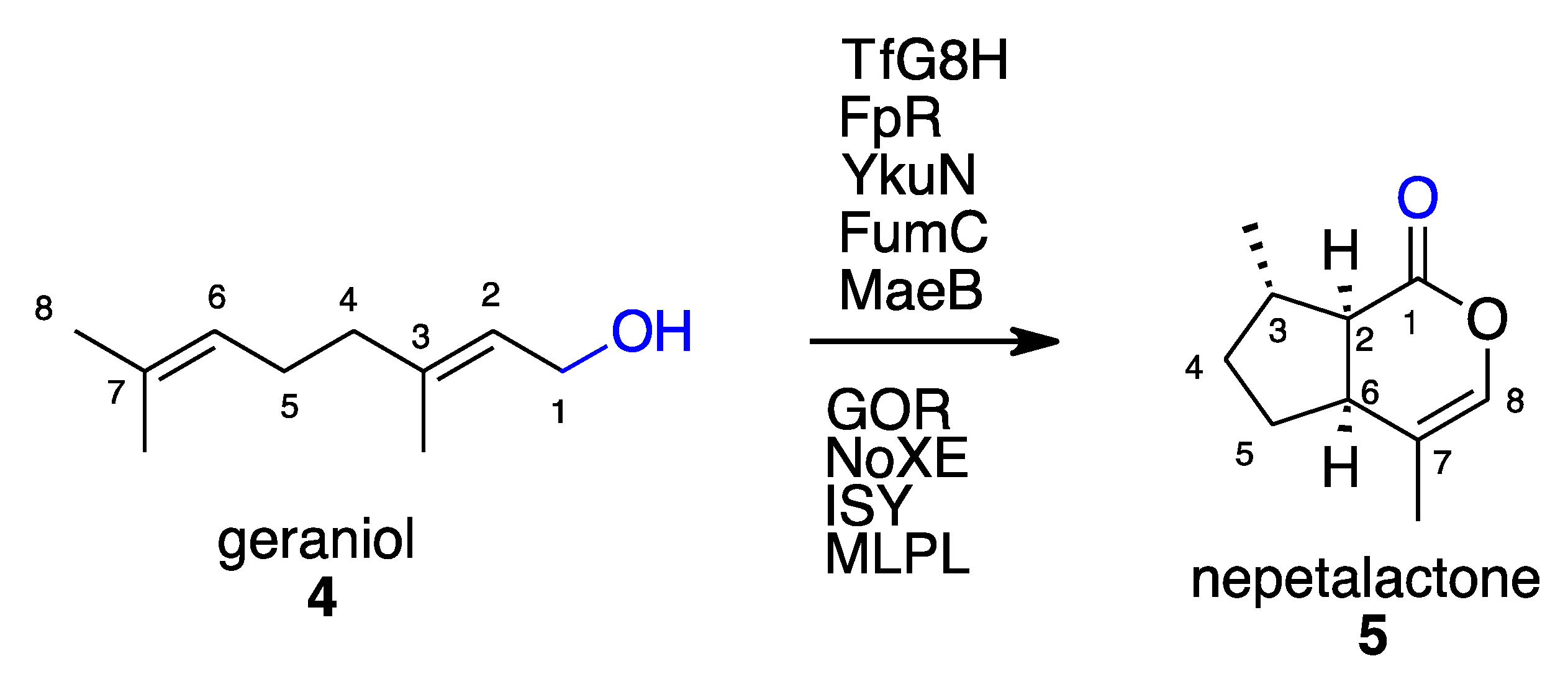 Molecules 27 06373 sch002 550