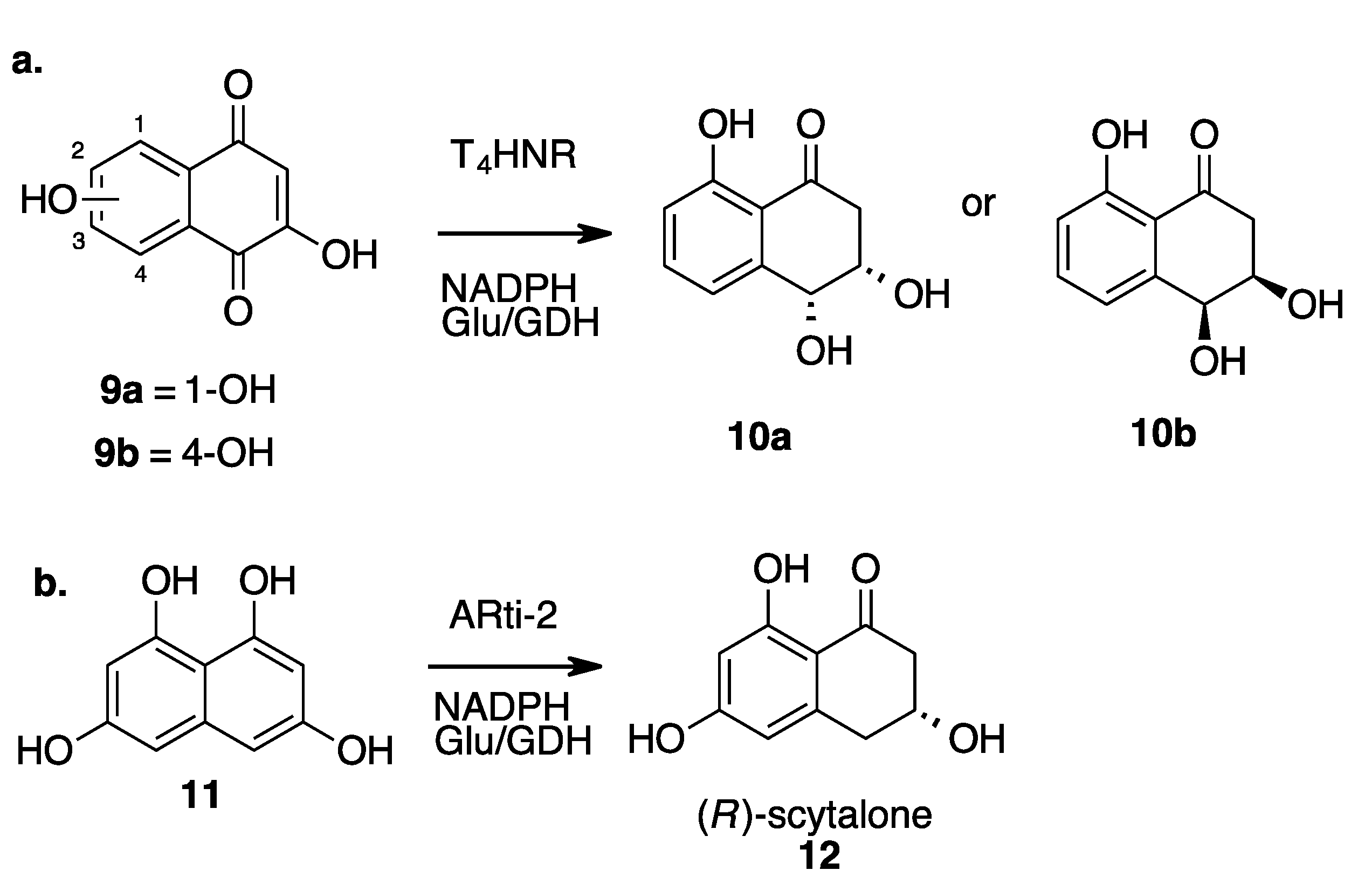 Molecules 27 06373 sch004 550