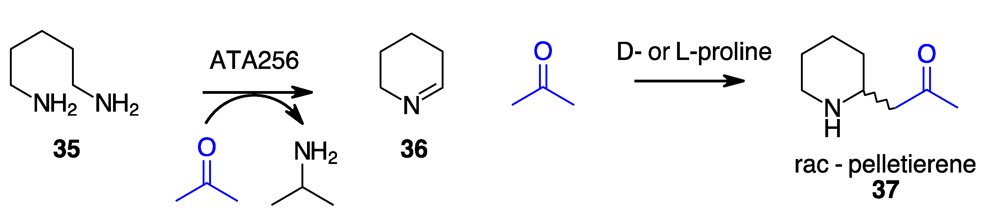 Molecules 27 06373 sch012 550