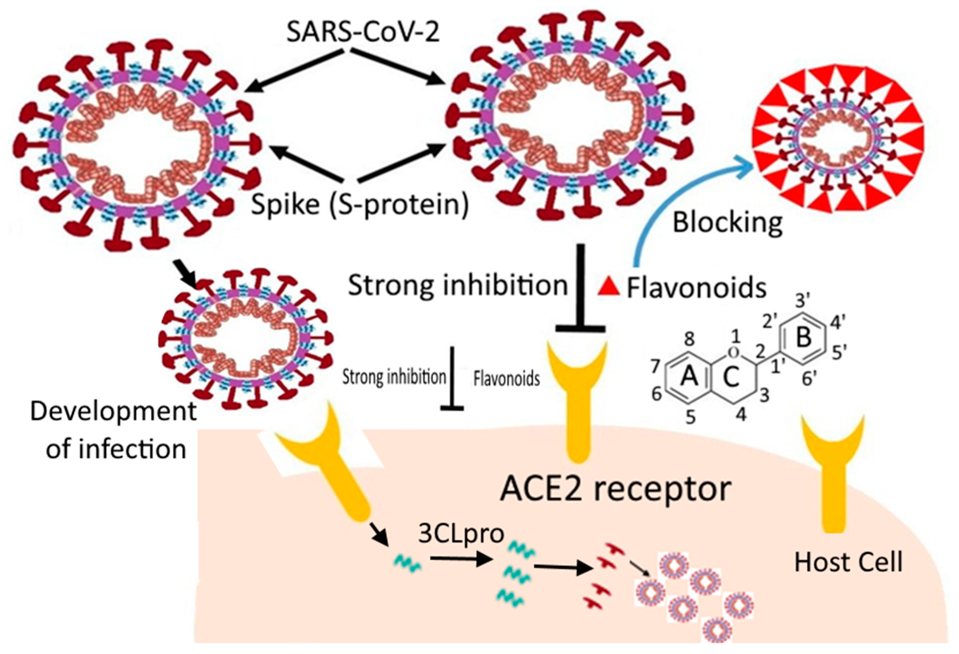 Molecules 27 06374 g005 Molecules 27 06374 g005
