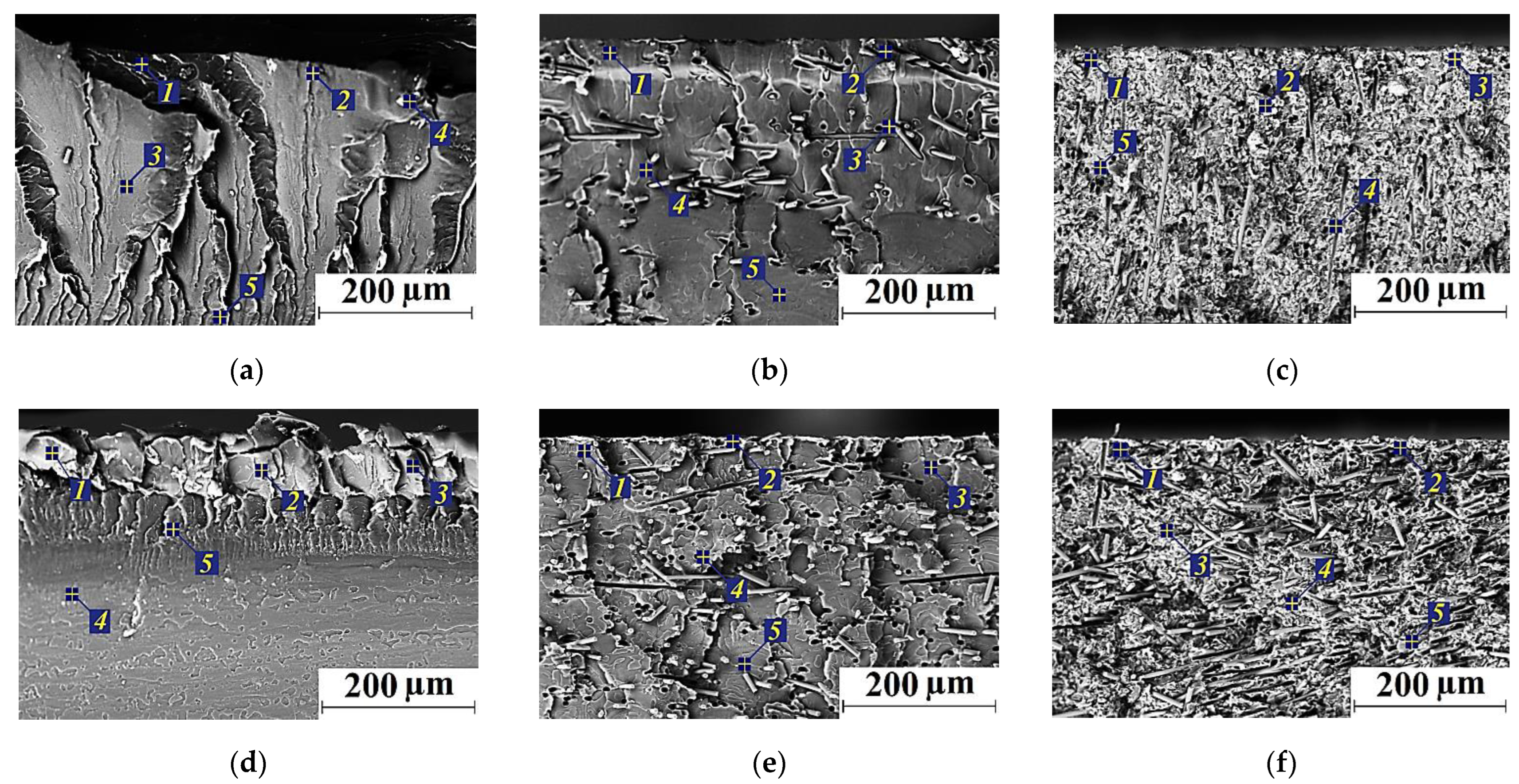 Molecules 27 06376 g009