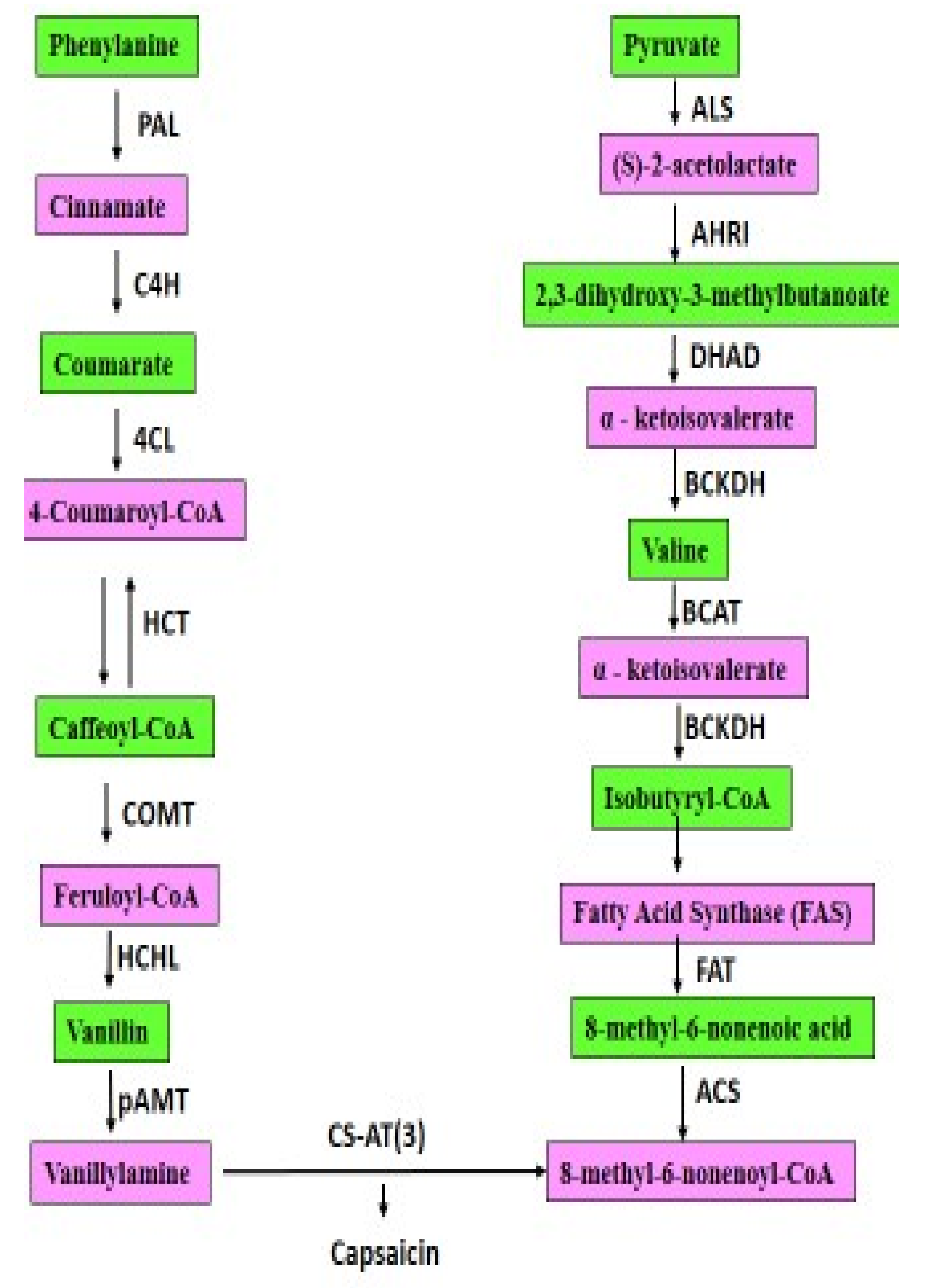 Molecules 27 06380 g002