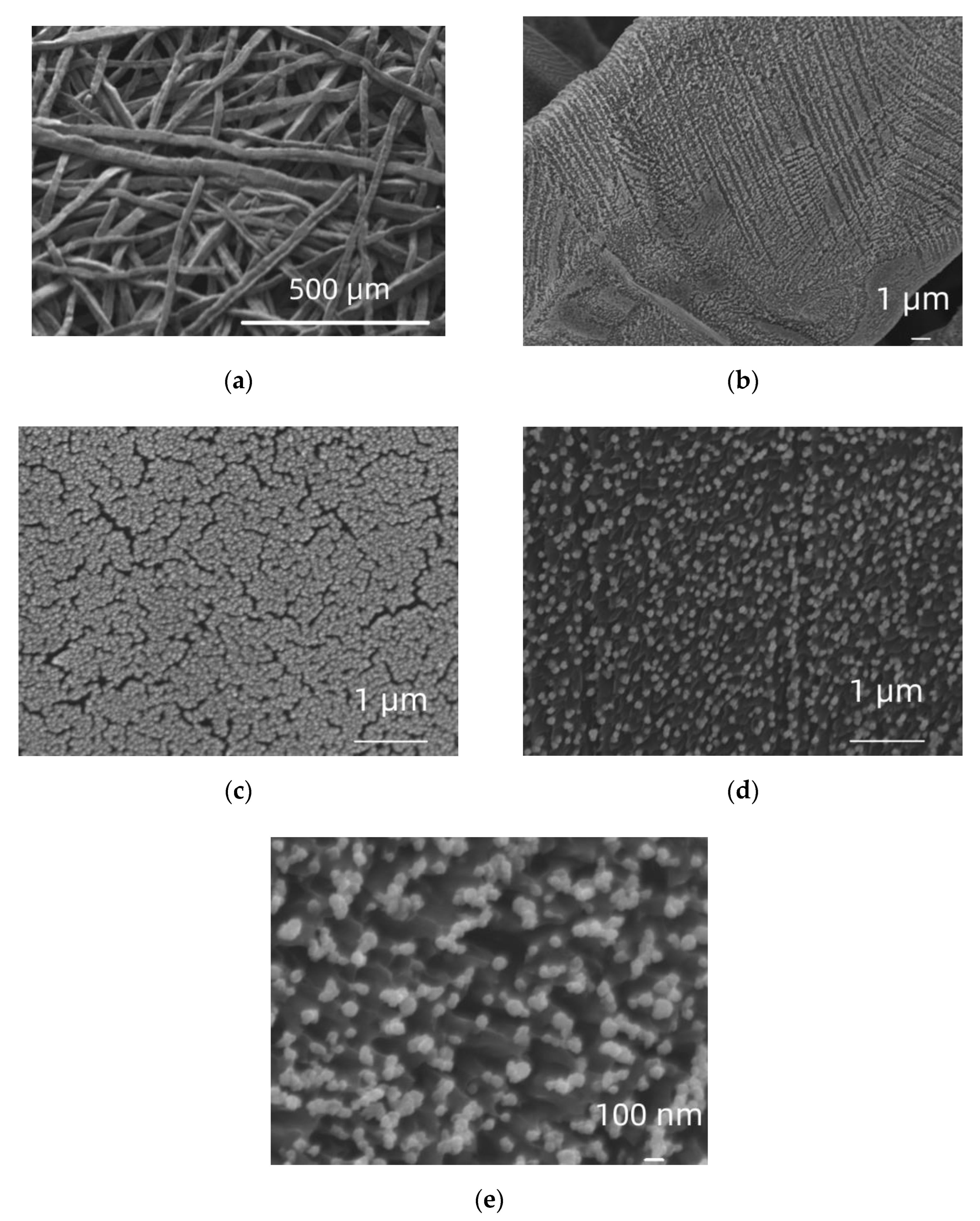 Molecules 27 06382 g002
