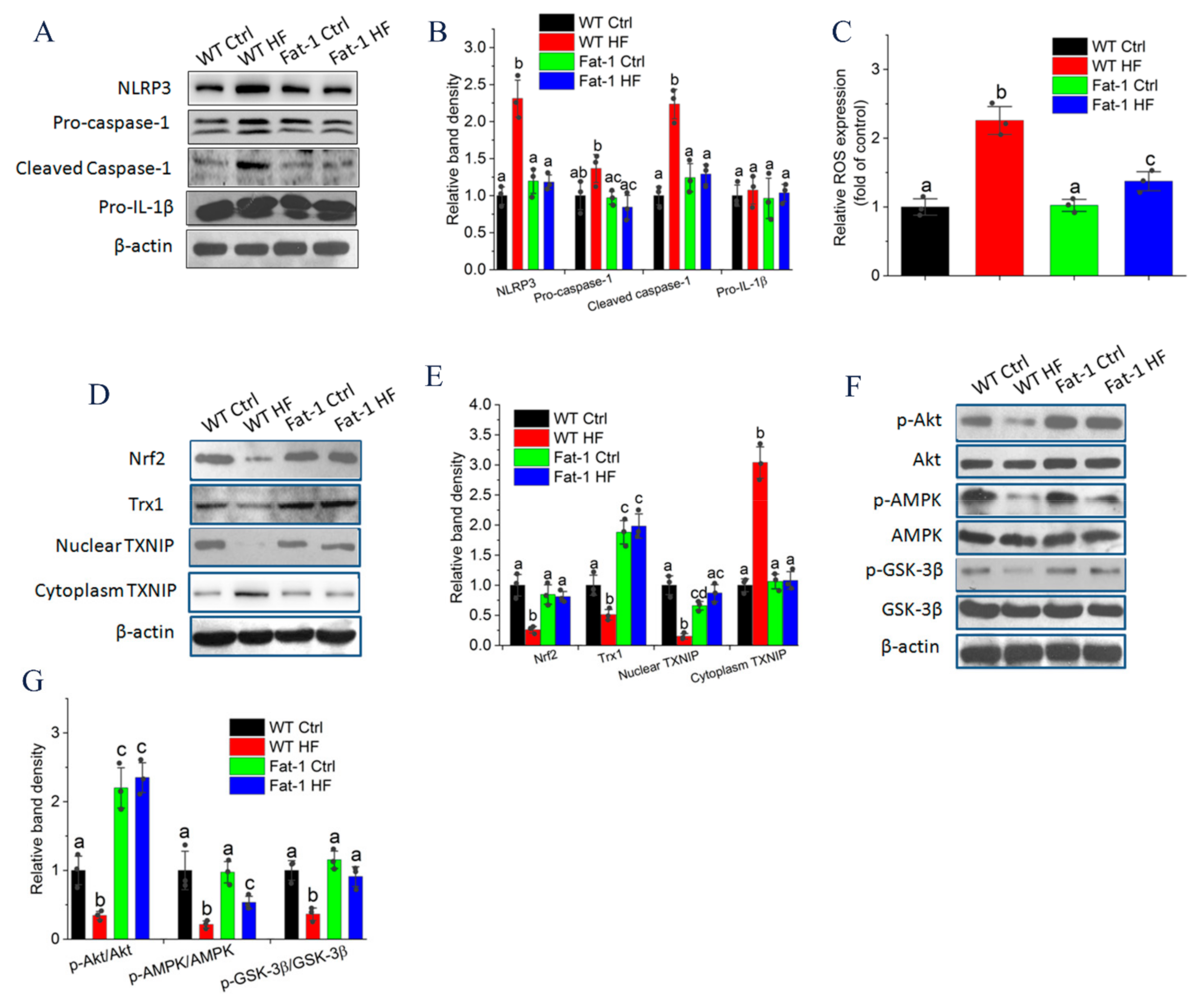 Molecules 27 06384 g005