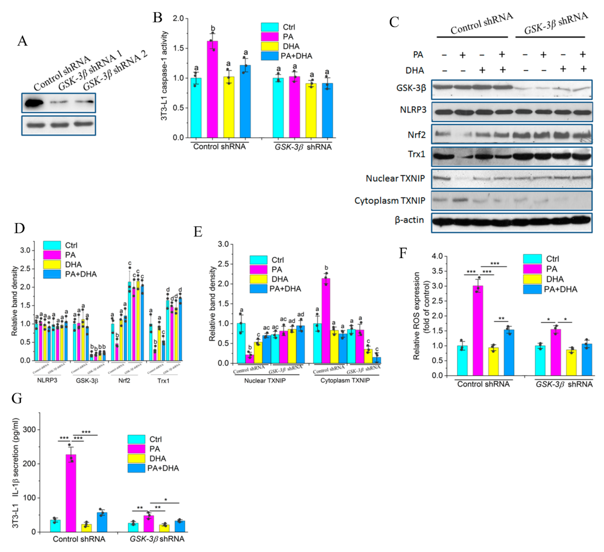 Molecules 27 06384 g007