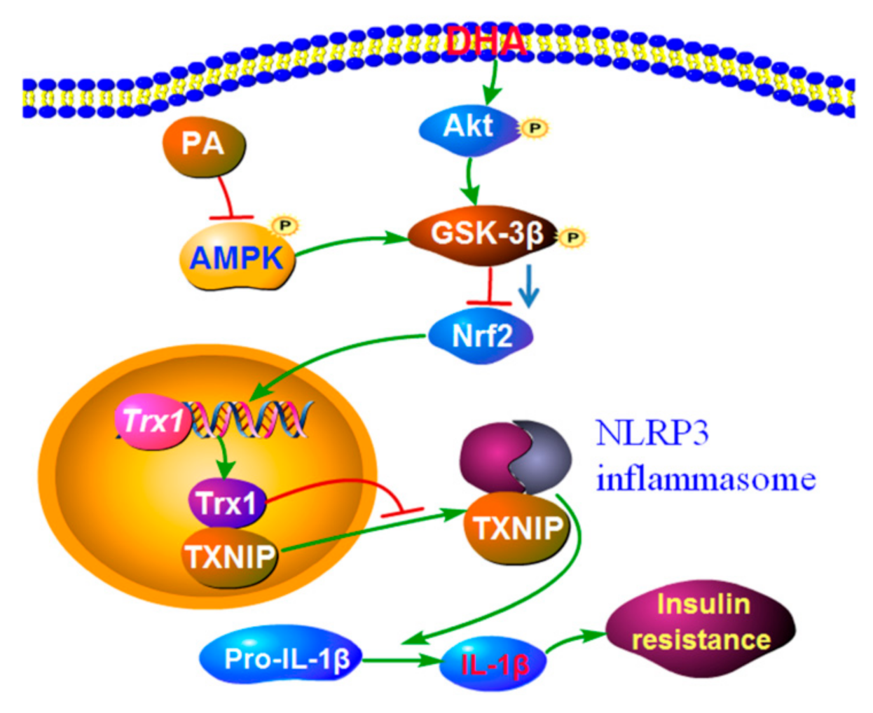 Molecules 27 06384 g008