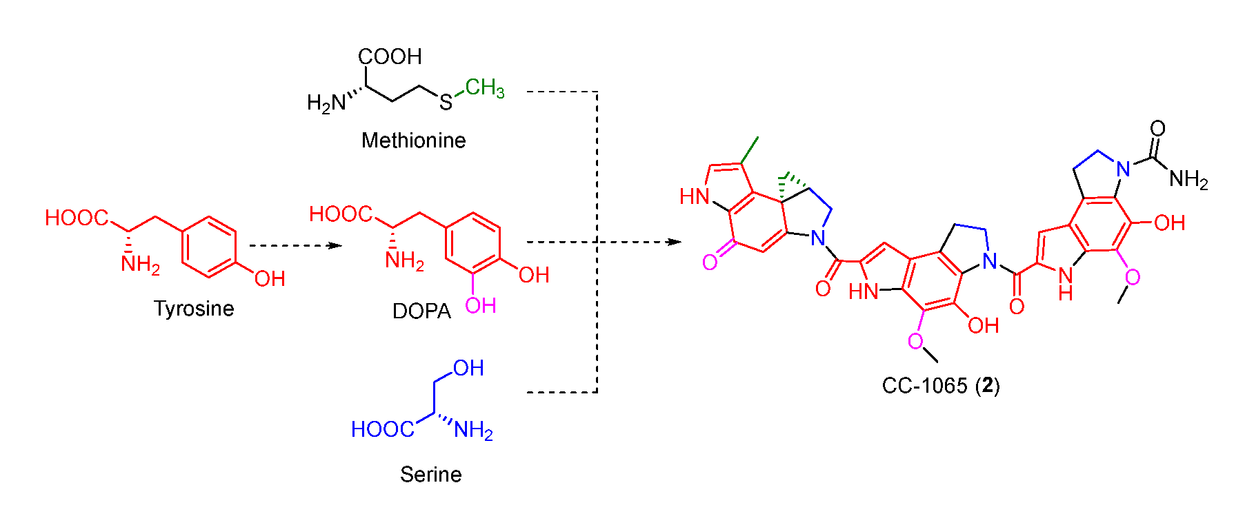 Molecules 27 06387 g003