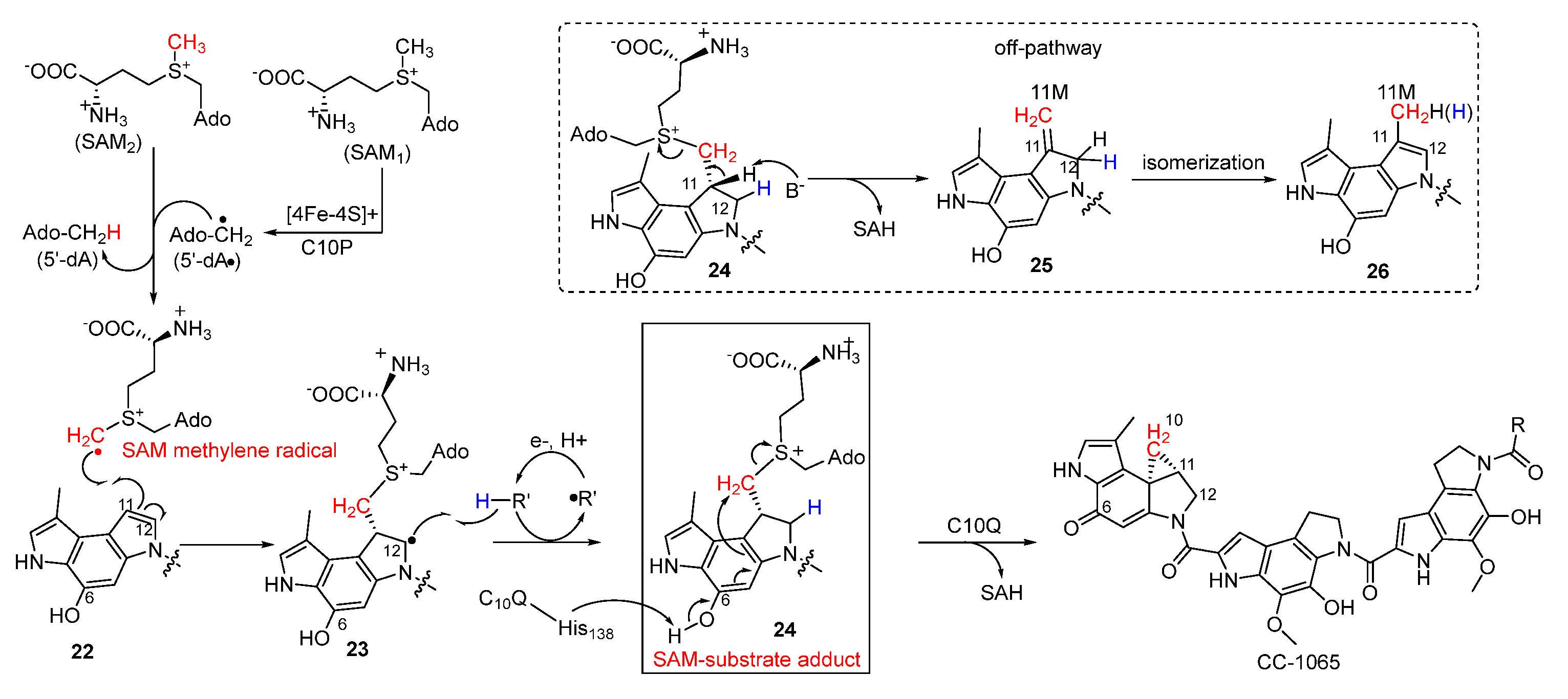 Molecules 27 06387 g005