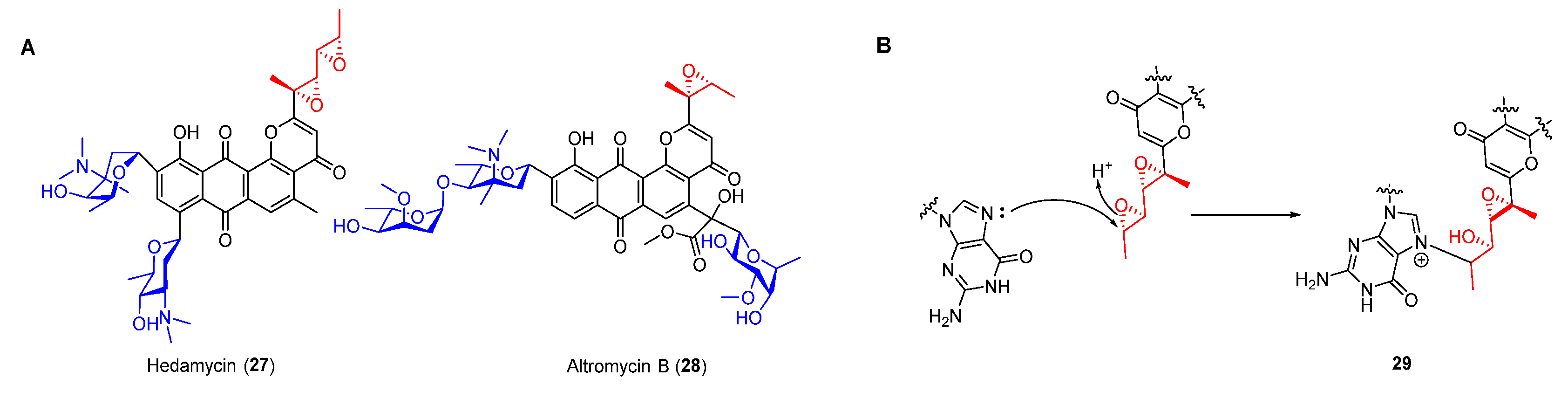 Molecules 27 06387 g006