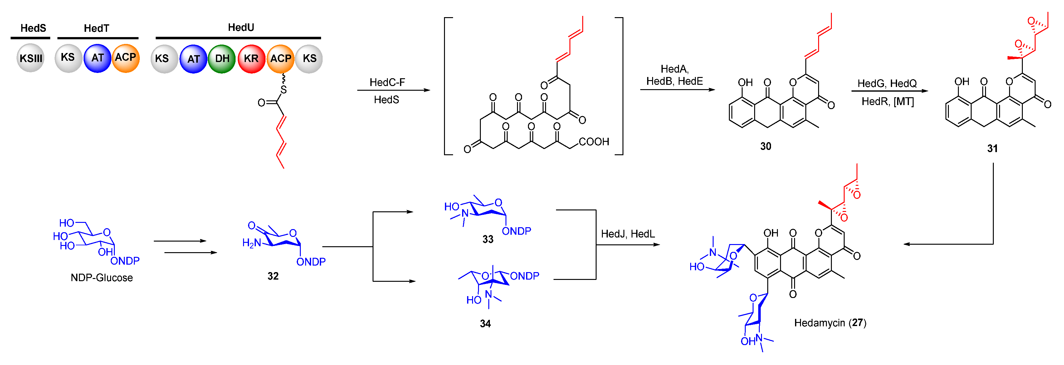 Molecules 27 06387 g007