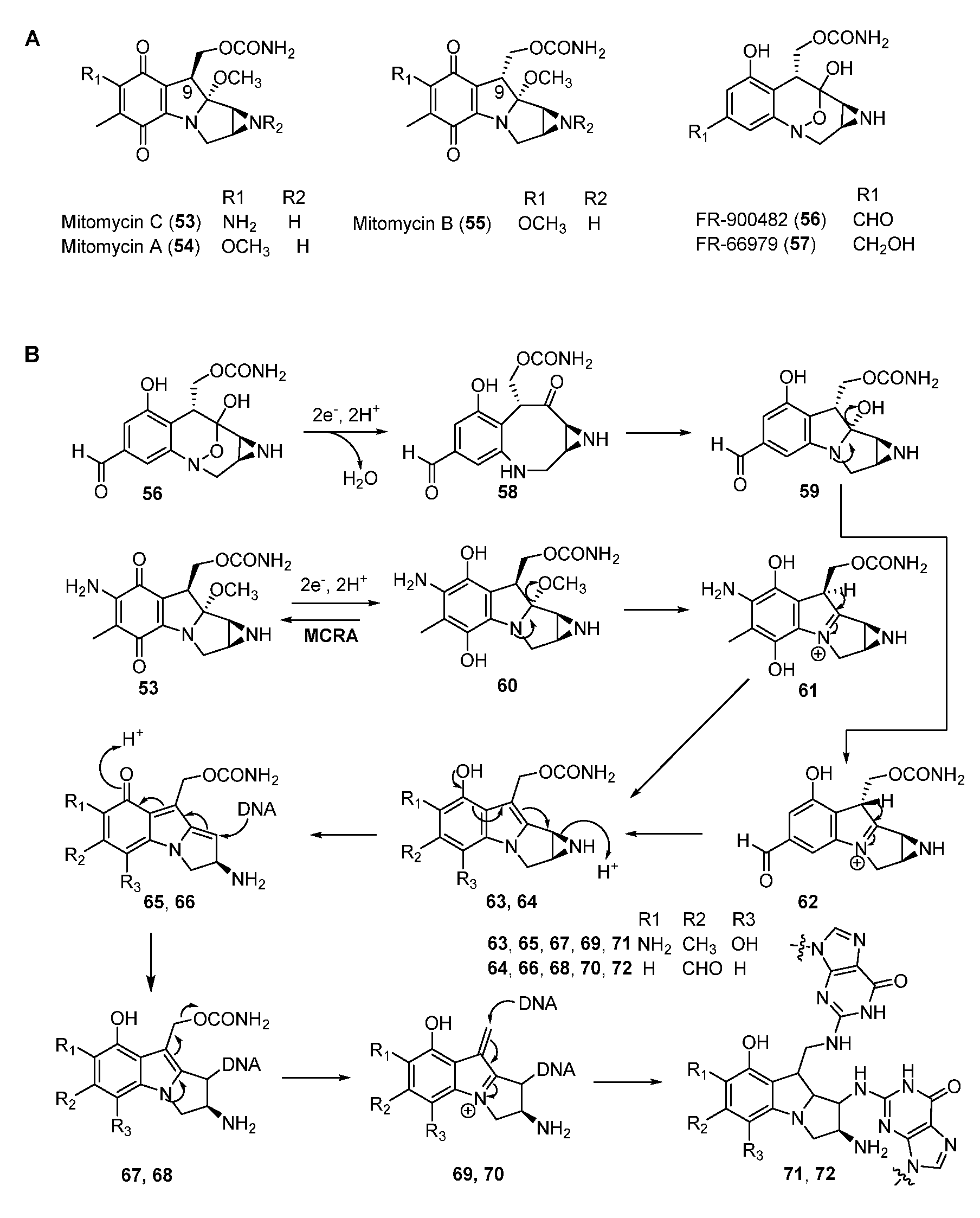 Molecules 27 06387 g010