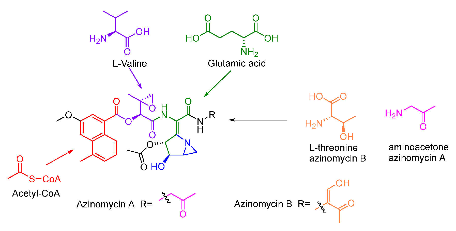 Molecules 27 06387 g013