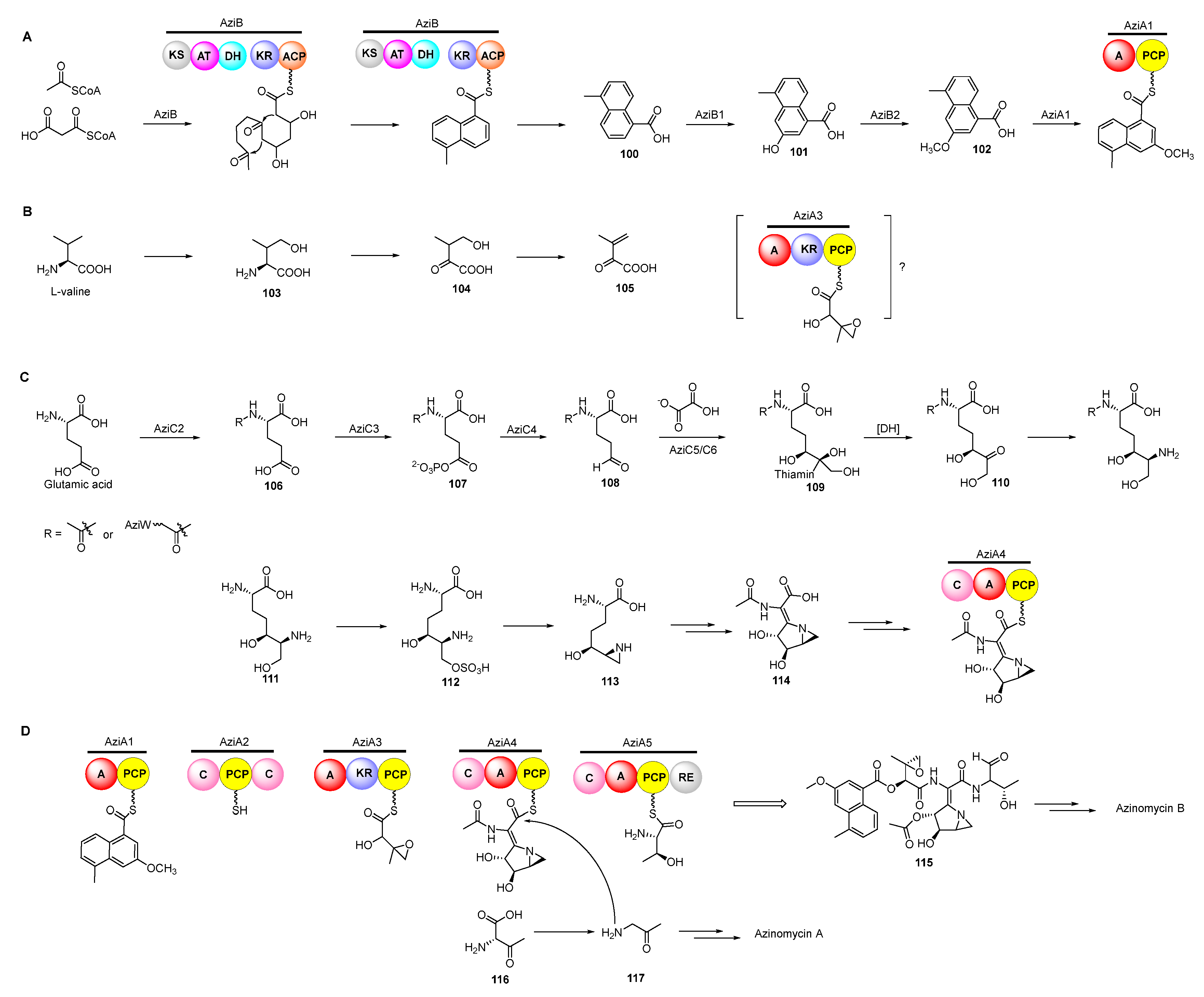 Molecules 27 06387 g014