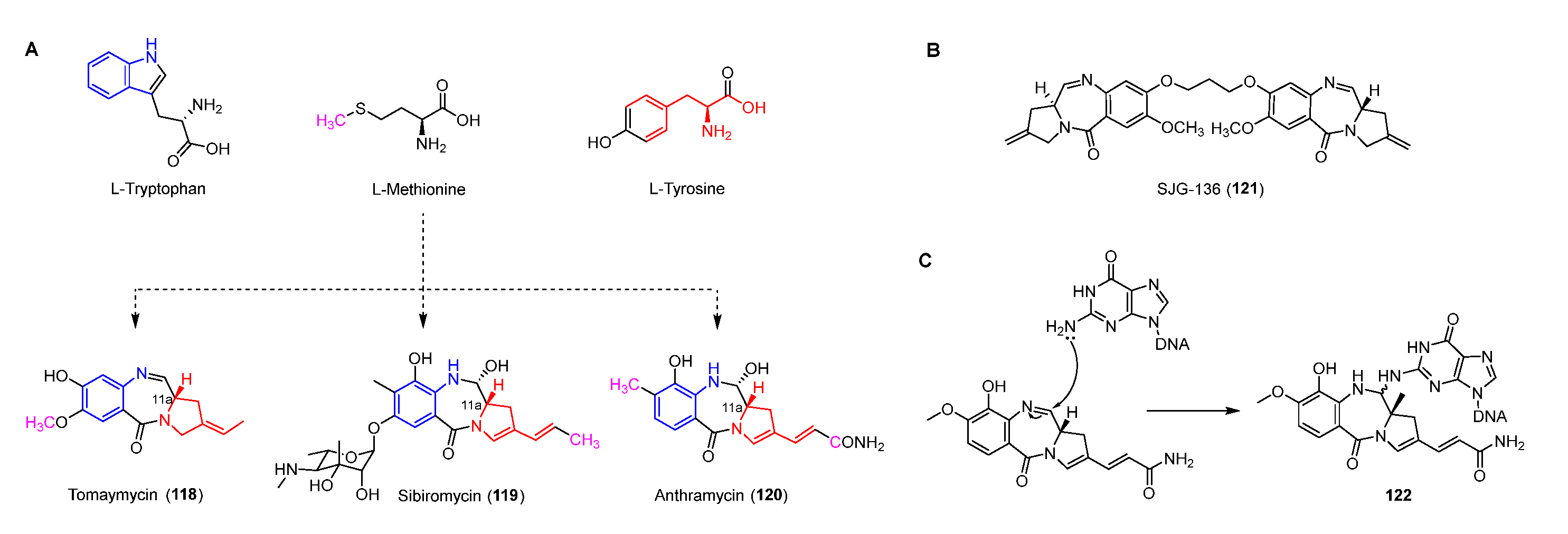 Molecules 27 06387 g015